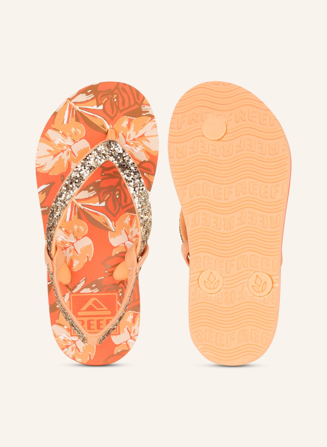 Reef little stargazer cheap