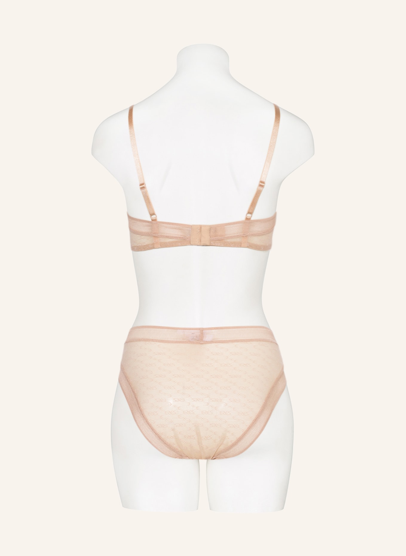 ERES Figi MORPHOLOGY: CIELISTY