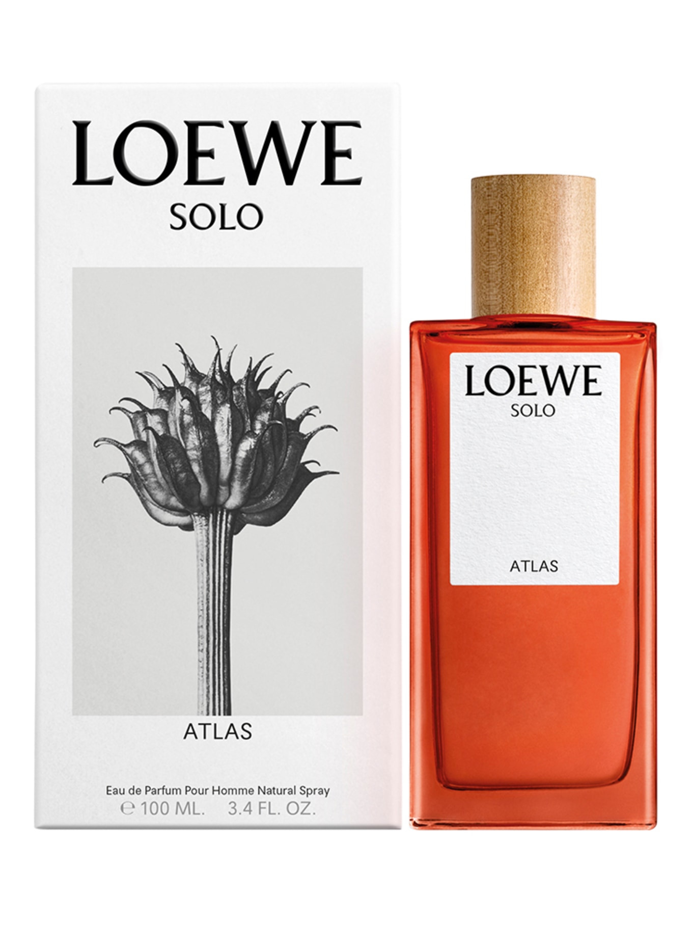LOEWE SOLO ATLAS