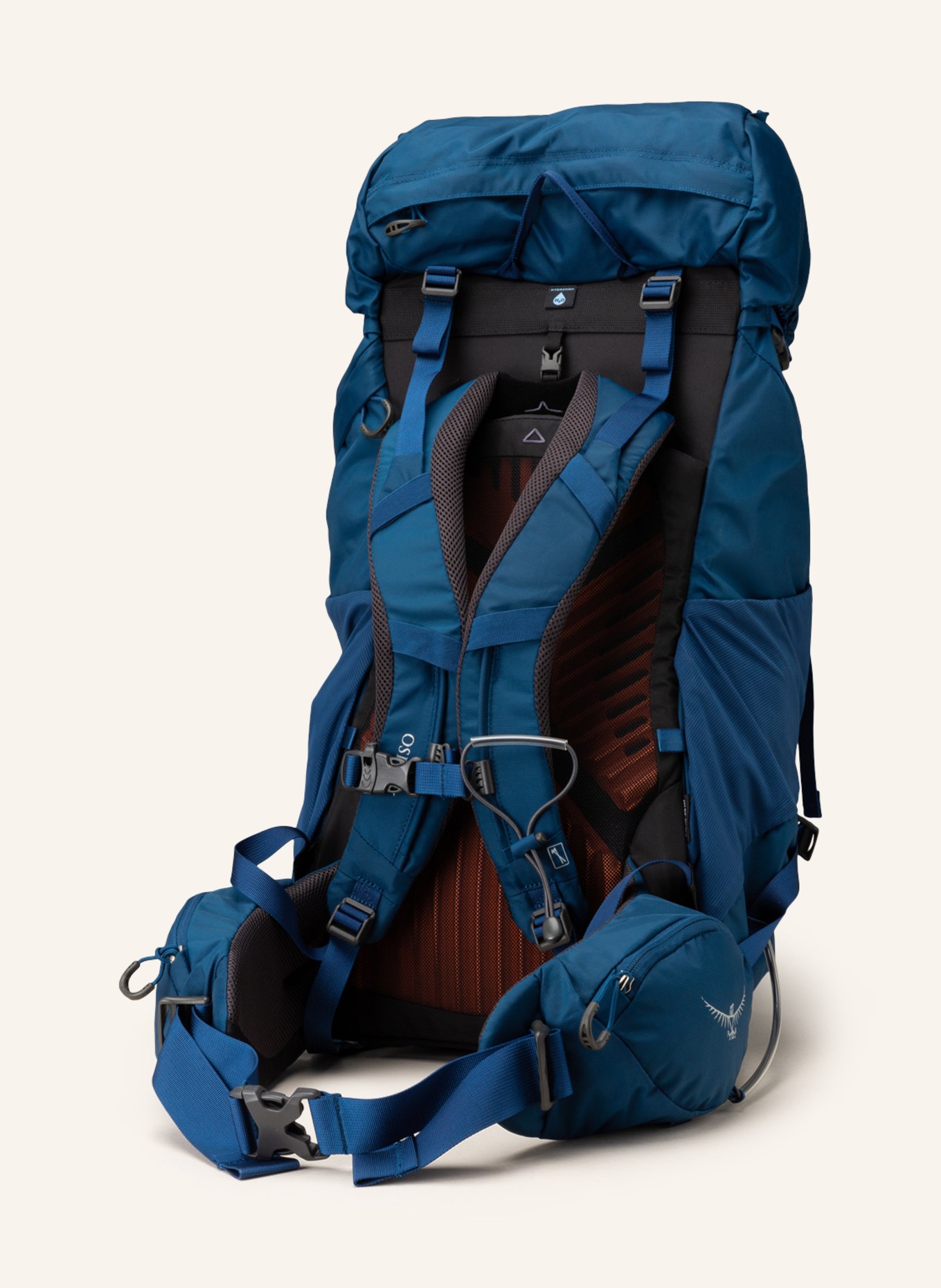 OSPREY Plecak KESTREL 38 l, Kolor: PETROL (Obrazek 2)