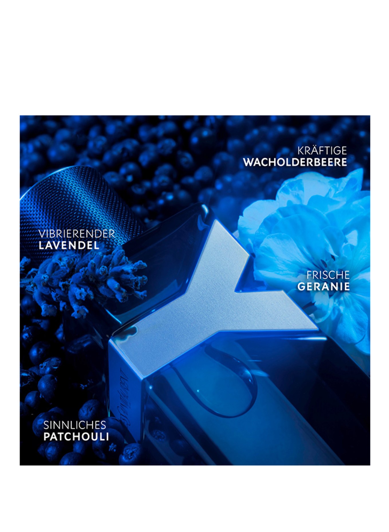 YVES SAINT LAURENT BEAUTÉ Y INTENSE