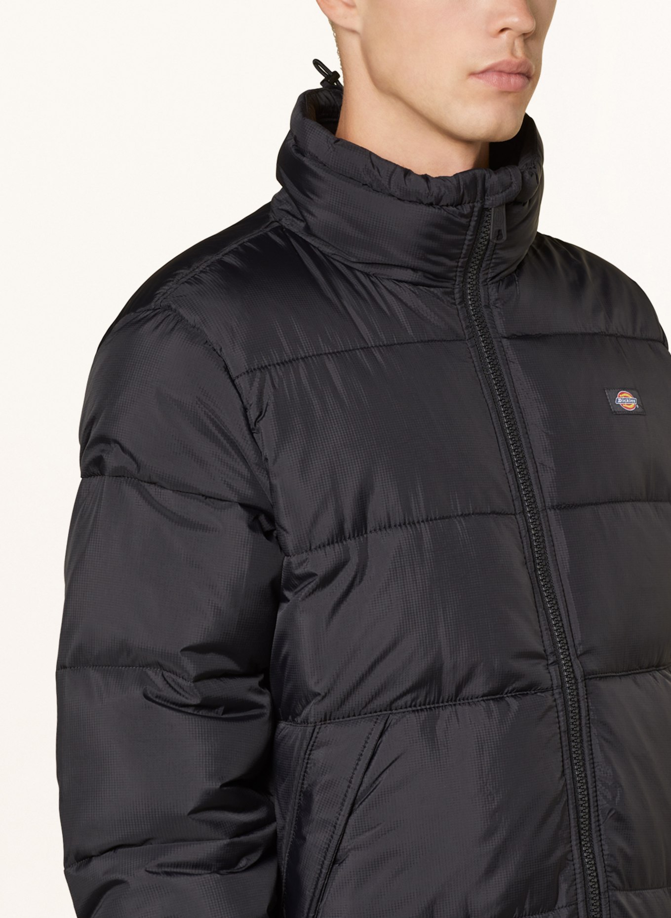 Dickies Quilted jacket WALDENBURG, Color: BLACK (Image 4)