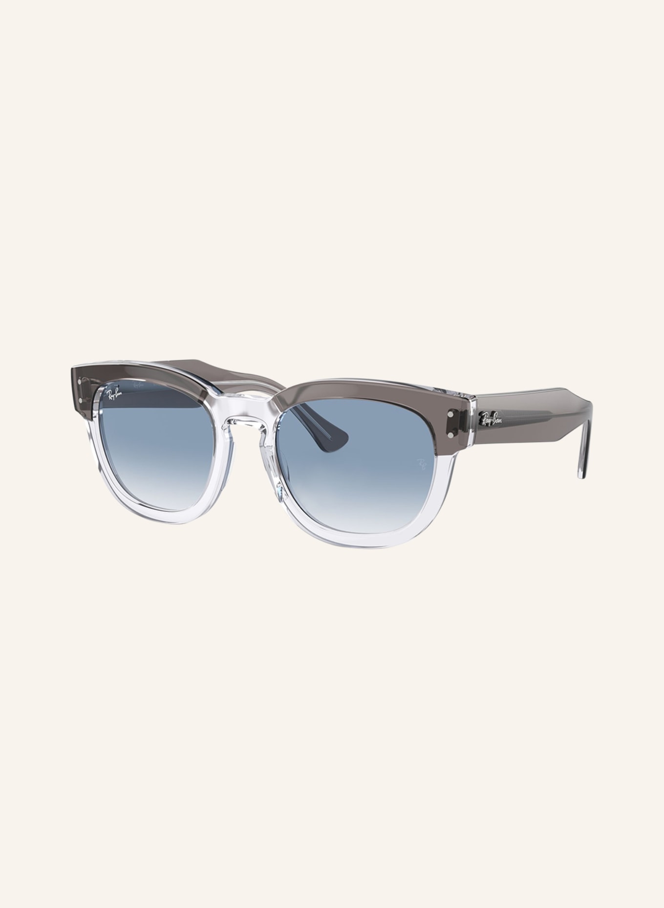 Ray shop ban f