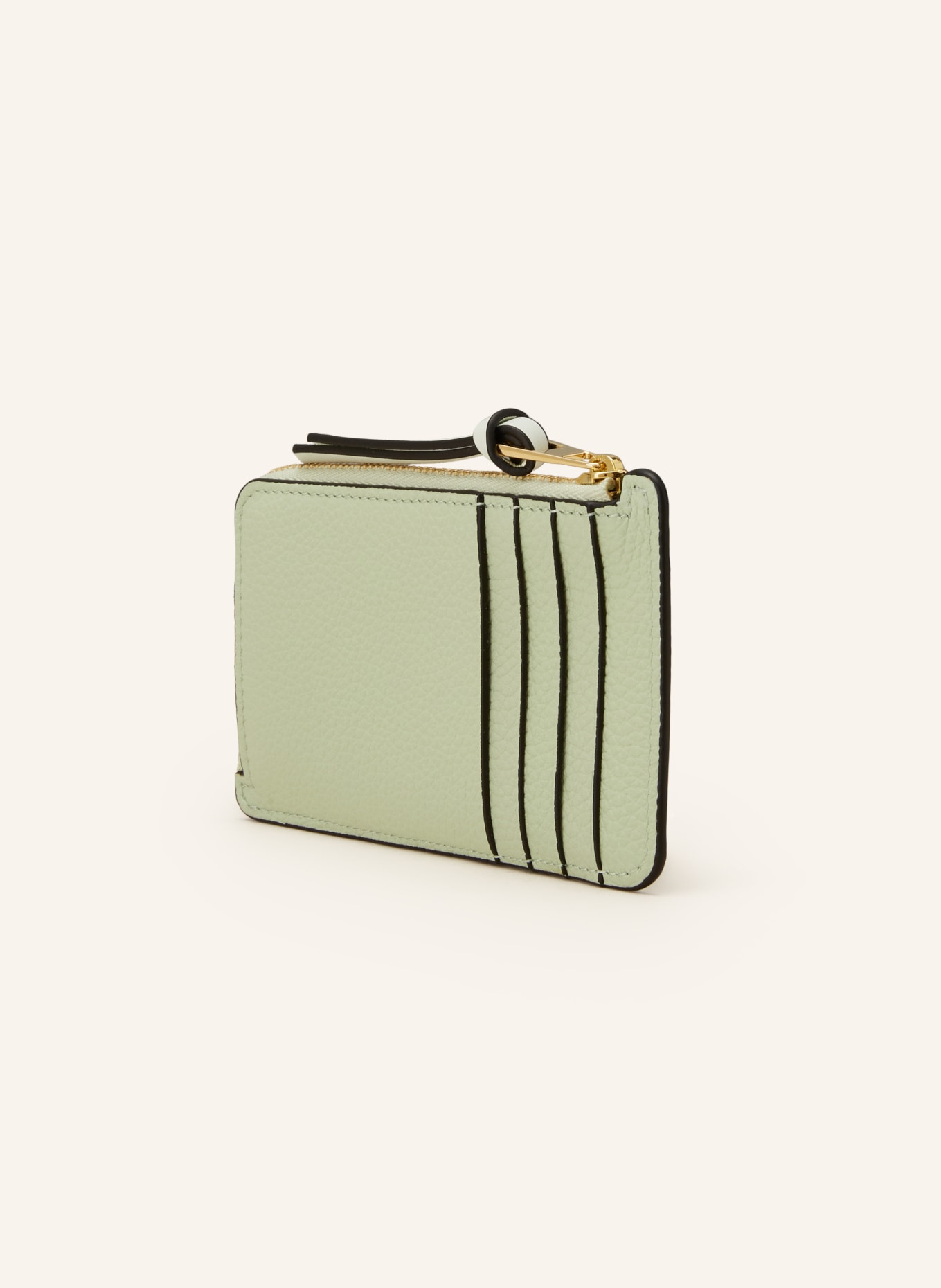 LOEWE Coin case, Color: LIGHT GREEN (Image 2)