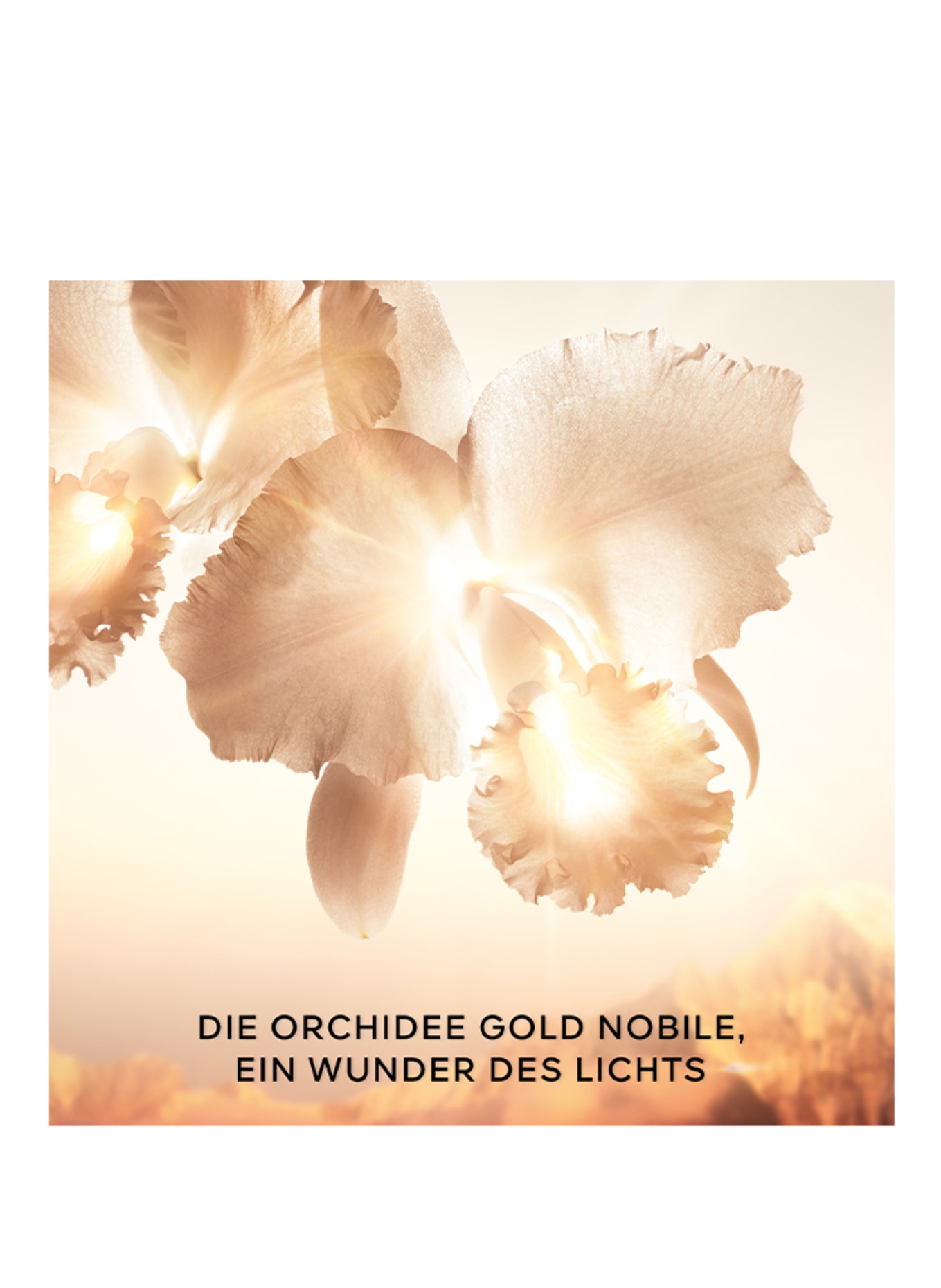 GUERLAIN ORCHIDÉE IMPÉRIALE GOLD NOBILE SERUM REFILL (Bild 7)
