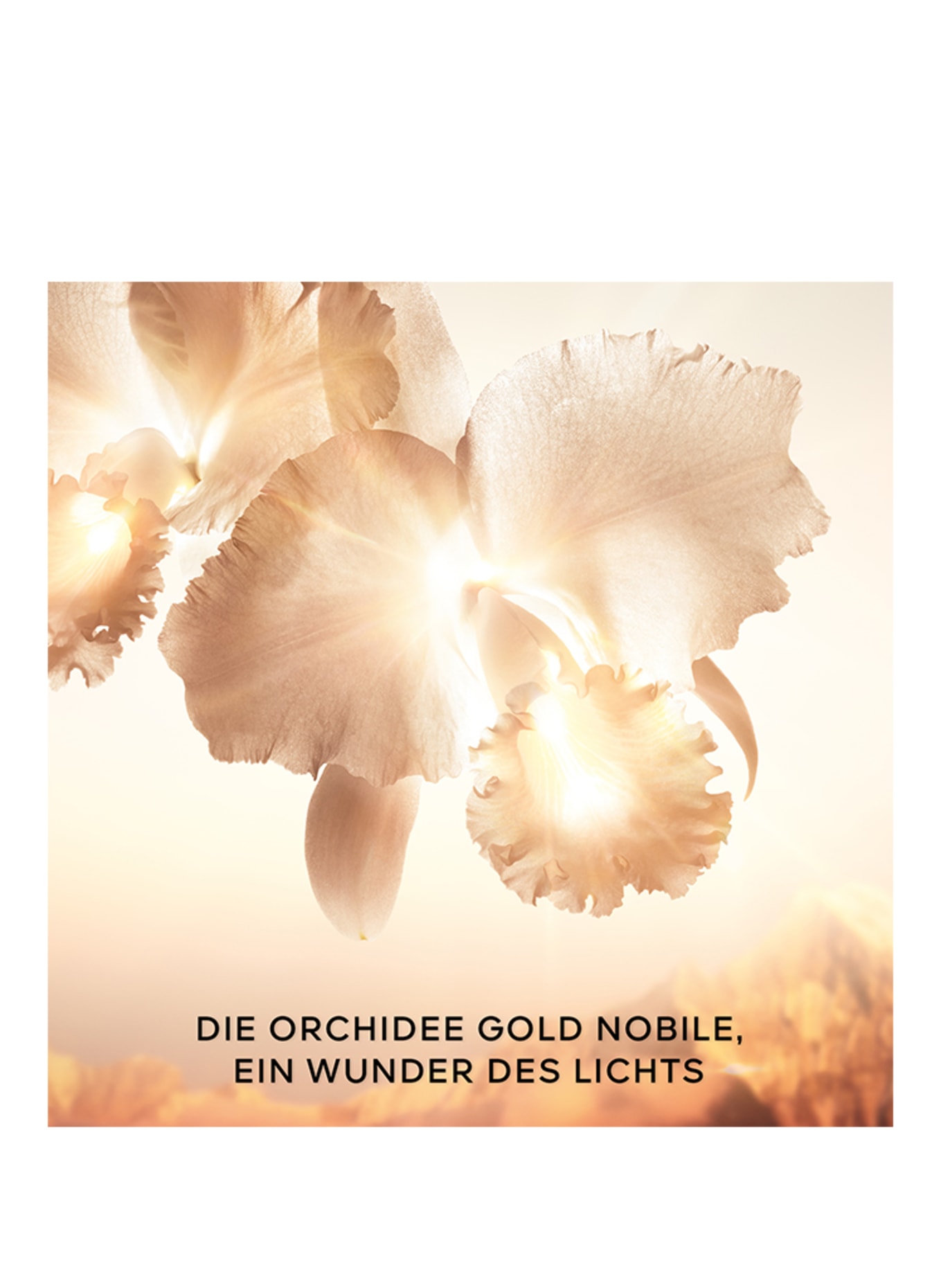 GUERLAIN ORCHIDÉE IMPÉRIALE GOLD NOBILE SERUM (Obrazek 7)