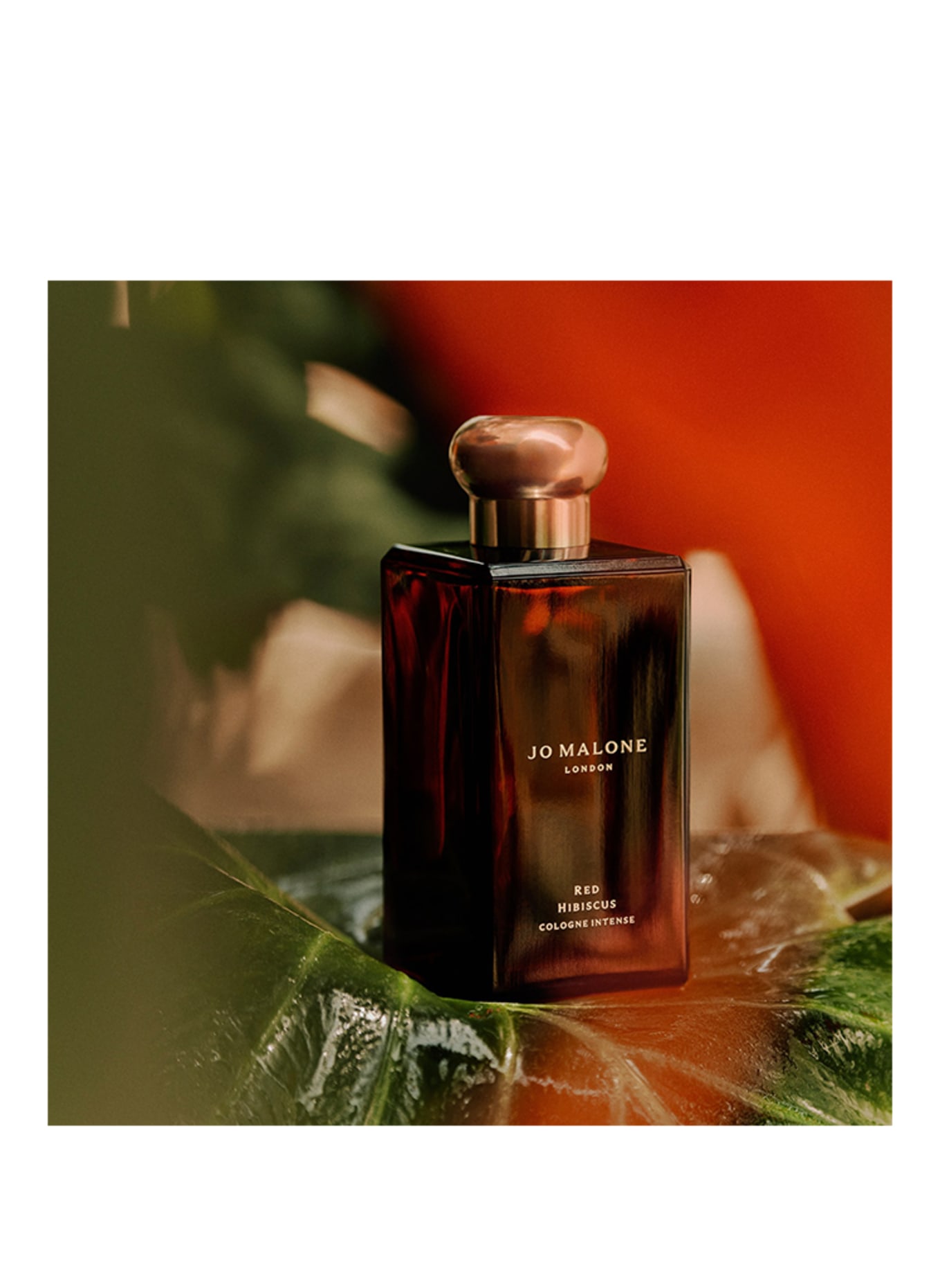 JO MALONE LONDON RED HIBISCUS Cologne Intense