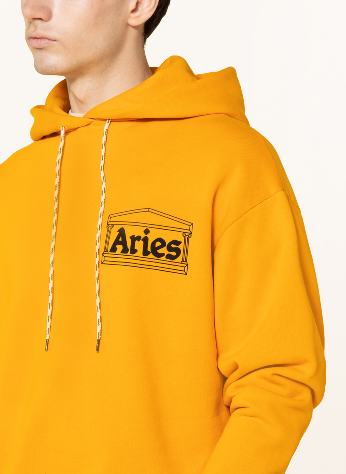 Aries arise hoodie on sale