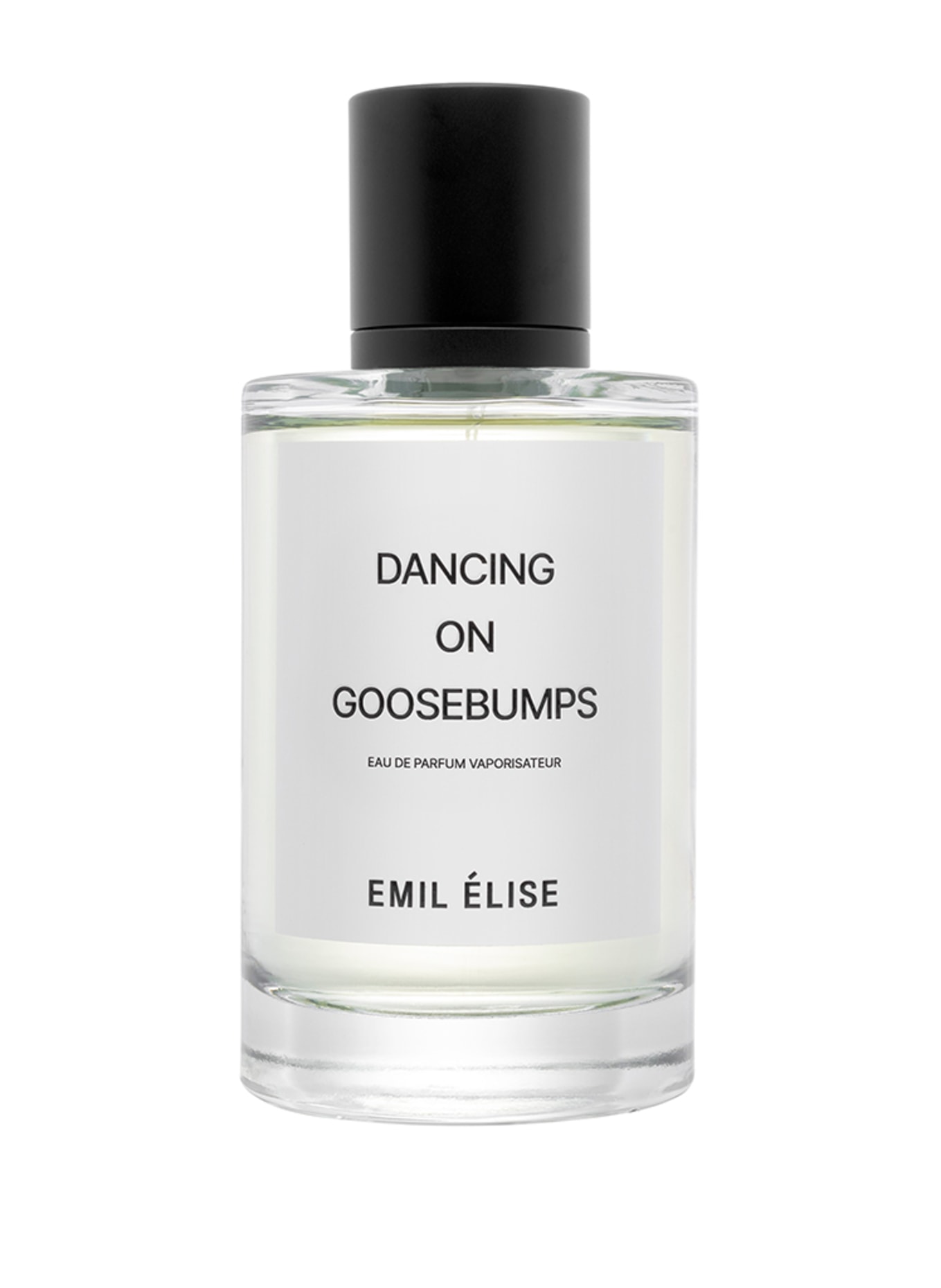 EMIL ÉLISE DANCING ON GOOSEBUMPS (Obrázek 1)
