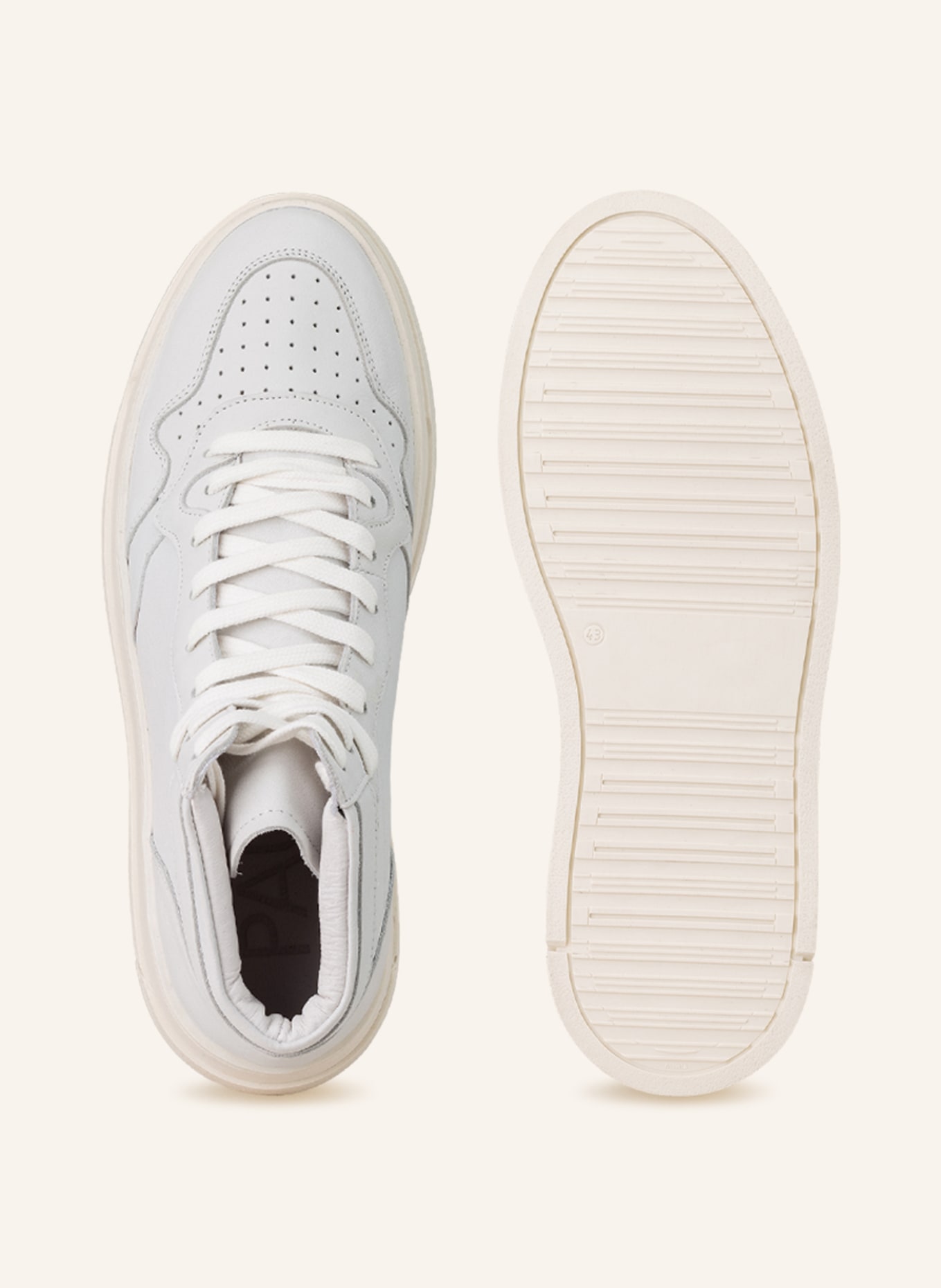 PAUL High-top sneakers, Color: WHITE (Image 5)