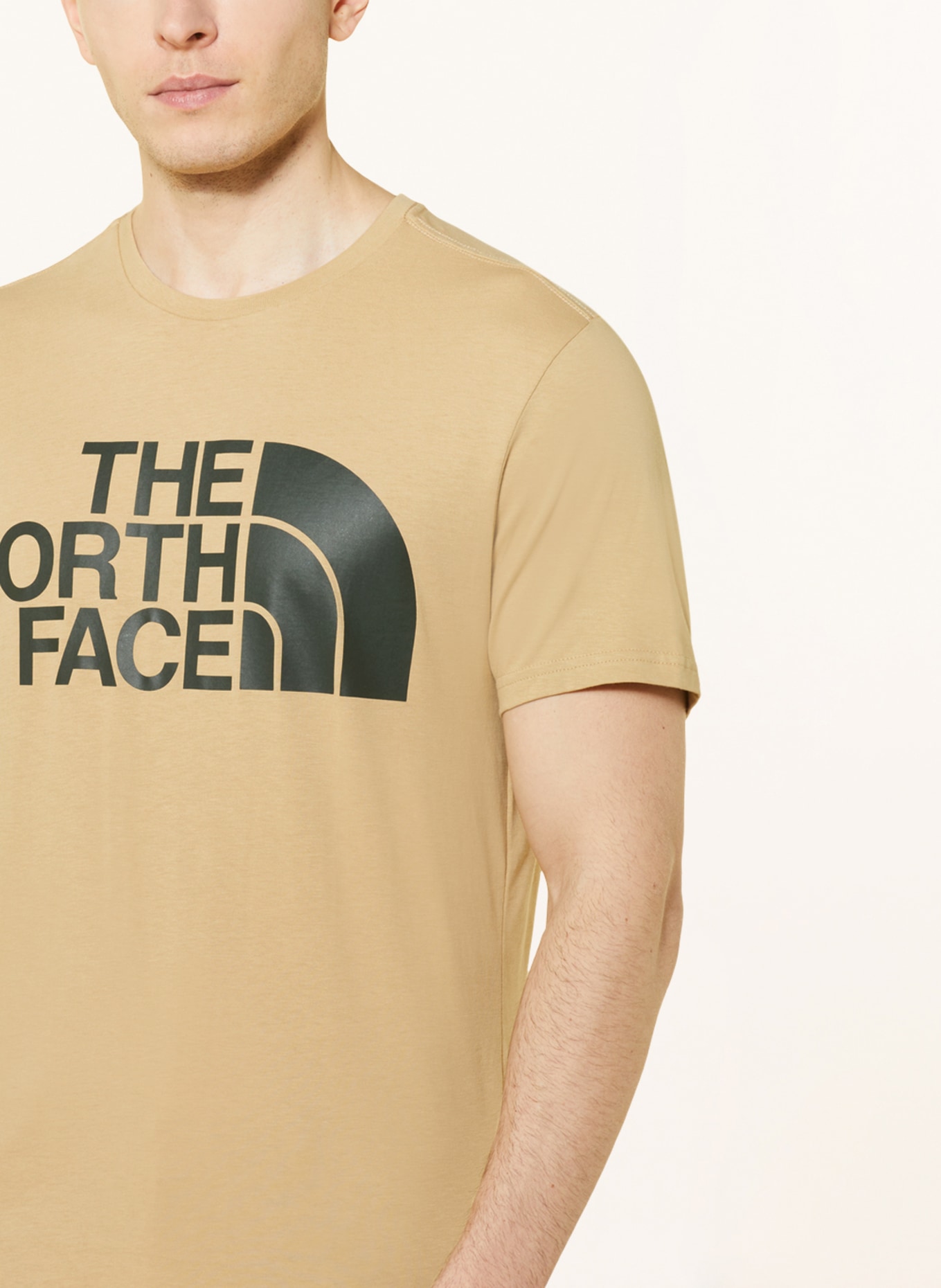 THE NORTH FACE T-Shirt STANDARD, Farbe: HELLBRAUN (Bild 4)