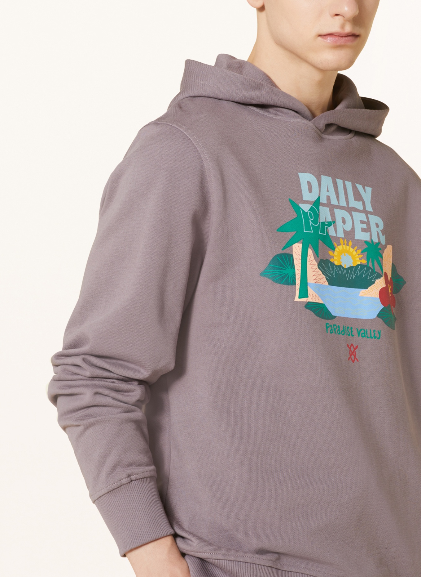 DAILY PAPER Hoodie, Color: GRAY (Image 5)