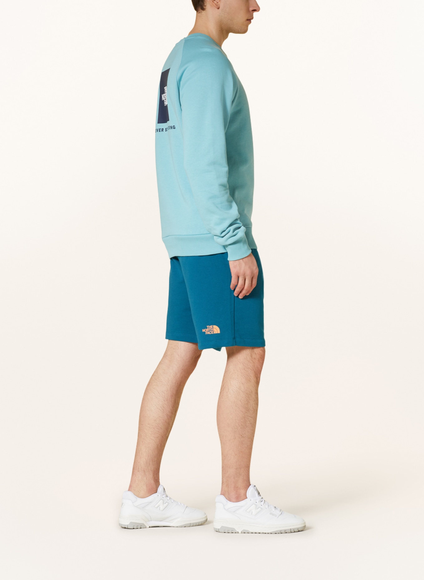 THE NORTH FACE Sweat shorts, Color: TEAL (Image 4)