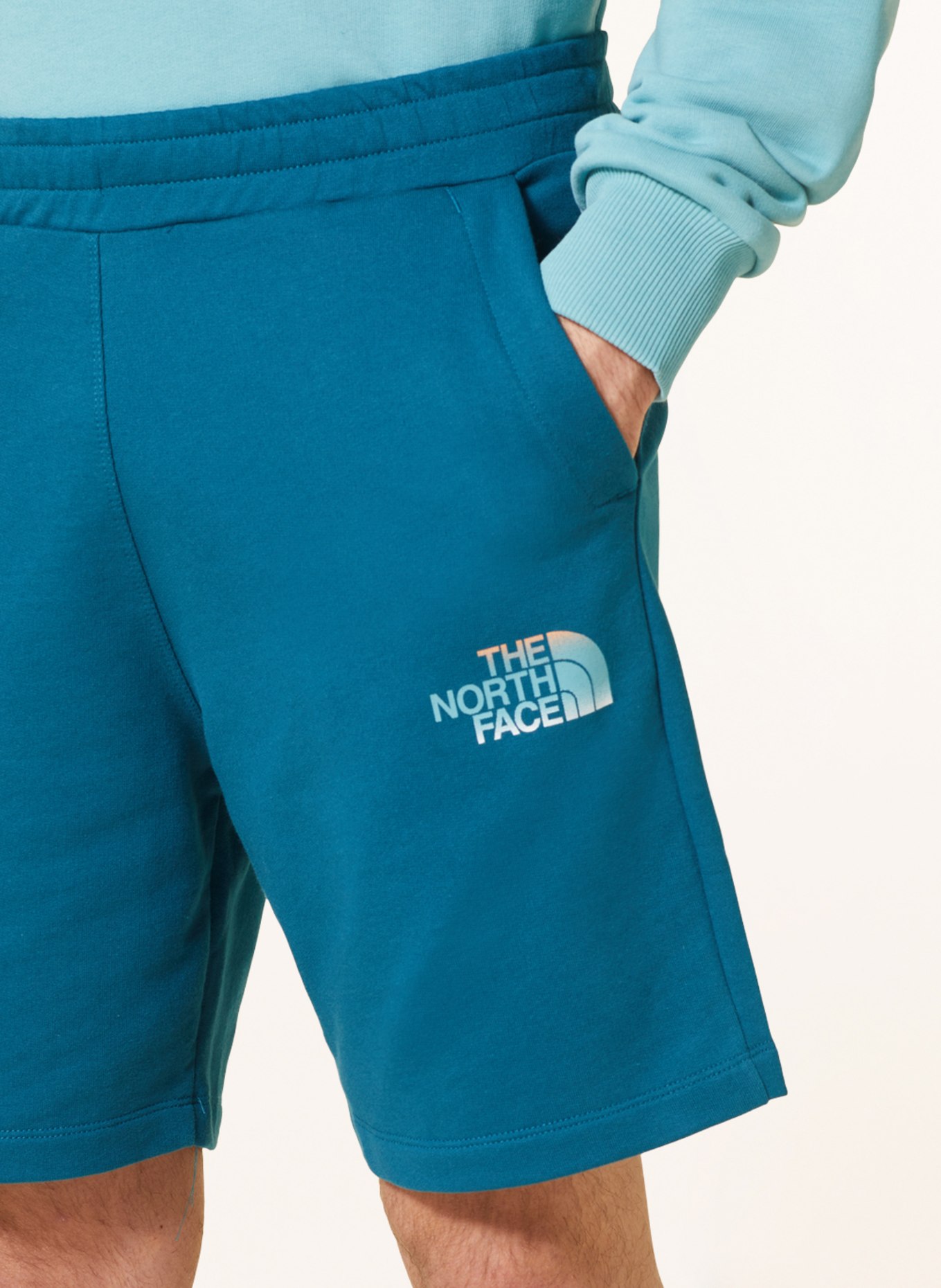 THE NORTH FACE Sweat shorts, Color: TEAL (Image 5)
