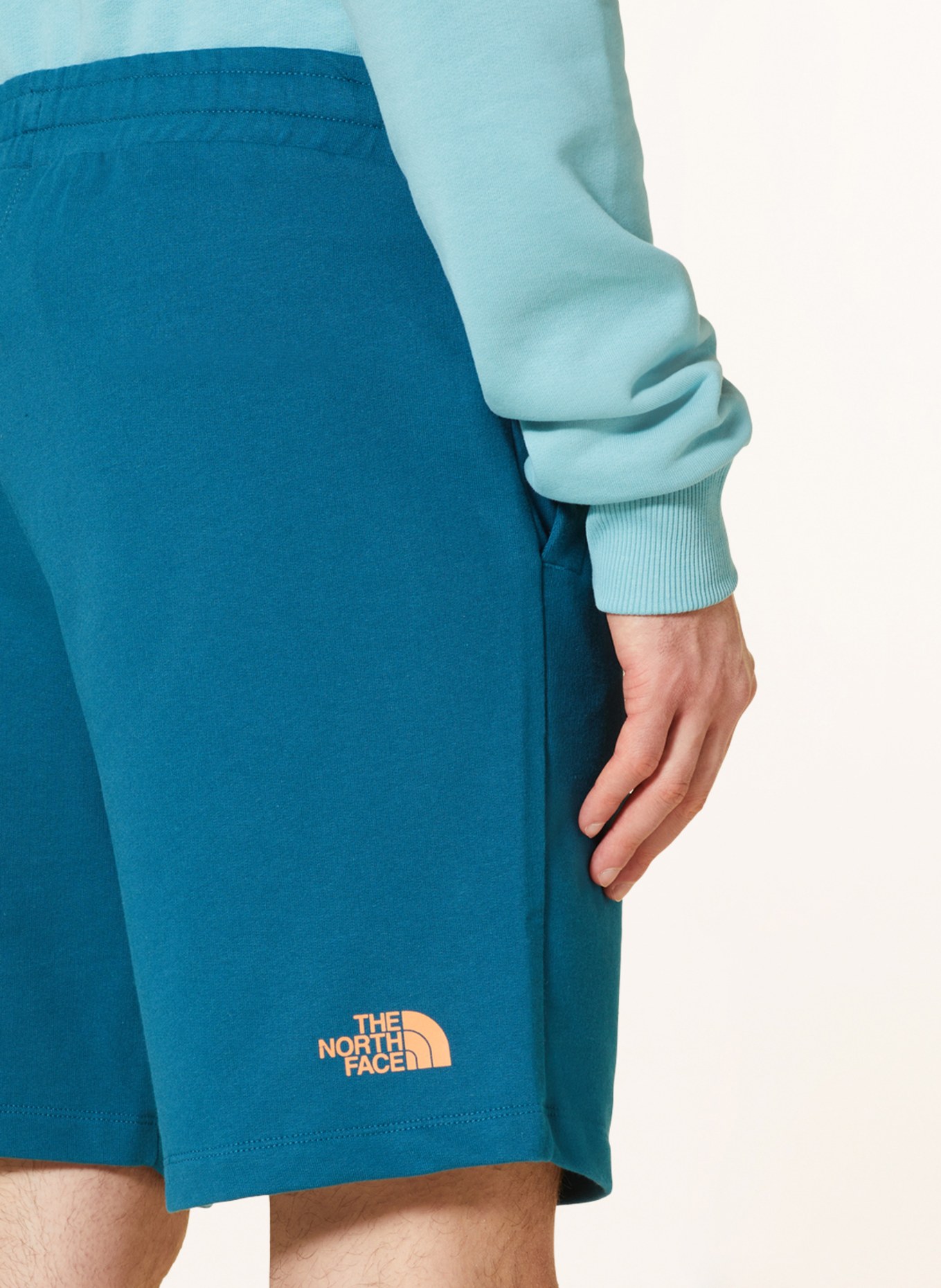 THE NORTH FACE Sweat shorts, Color: TEAL (Image 6)