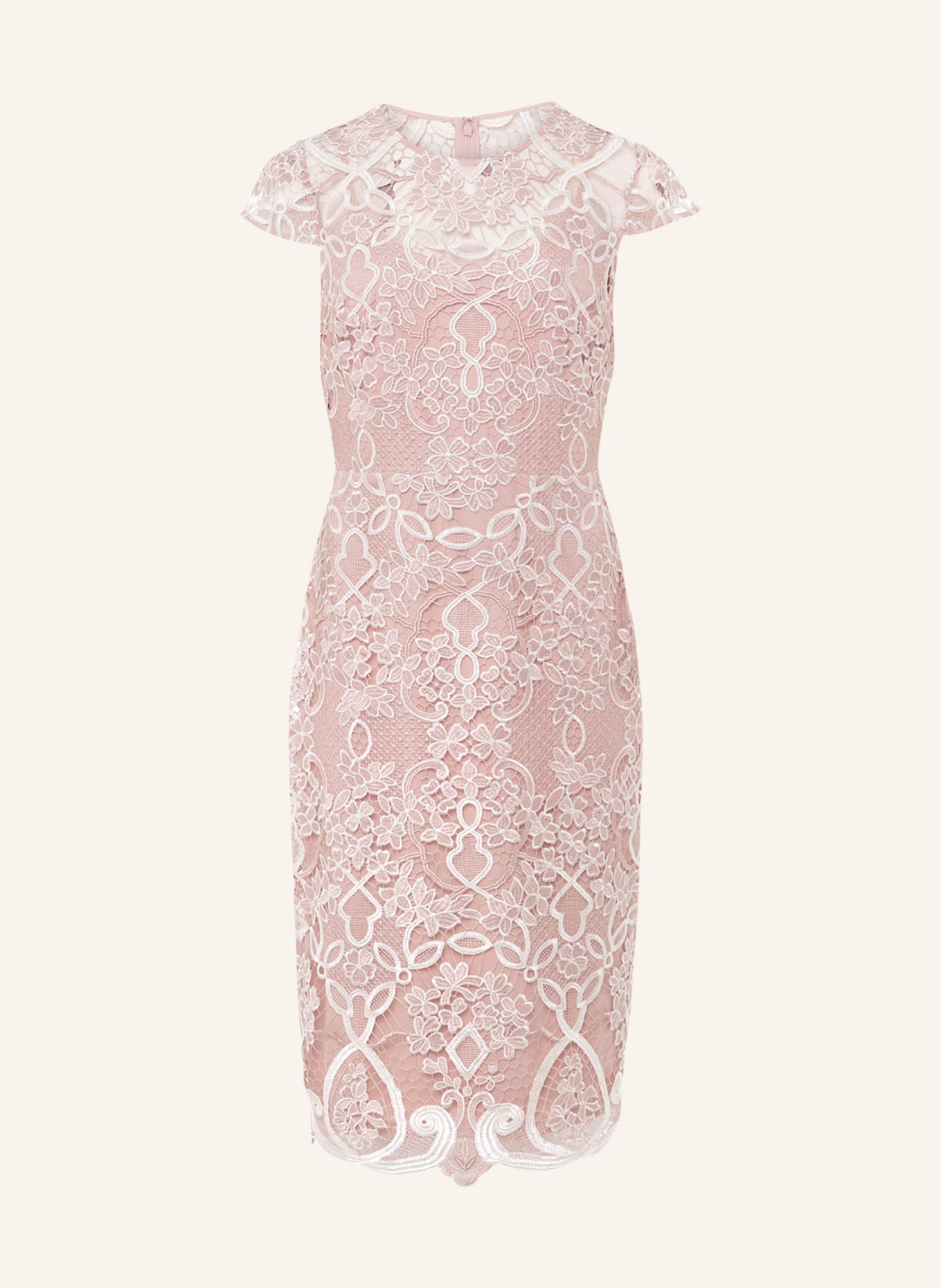 Phase Eight Lace dress FRANCIS, Color: WHITE/ ROSE/ LIGHT PINK (Image 1)