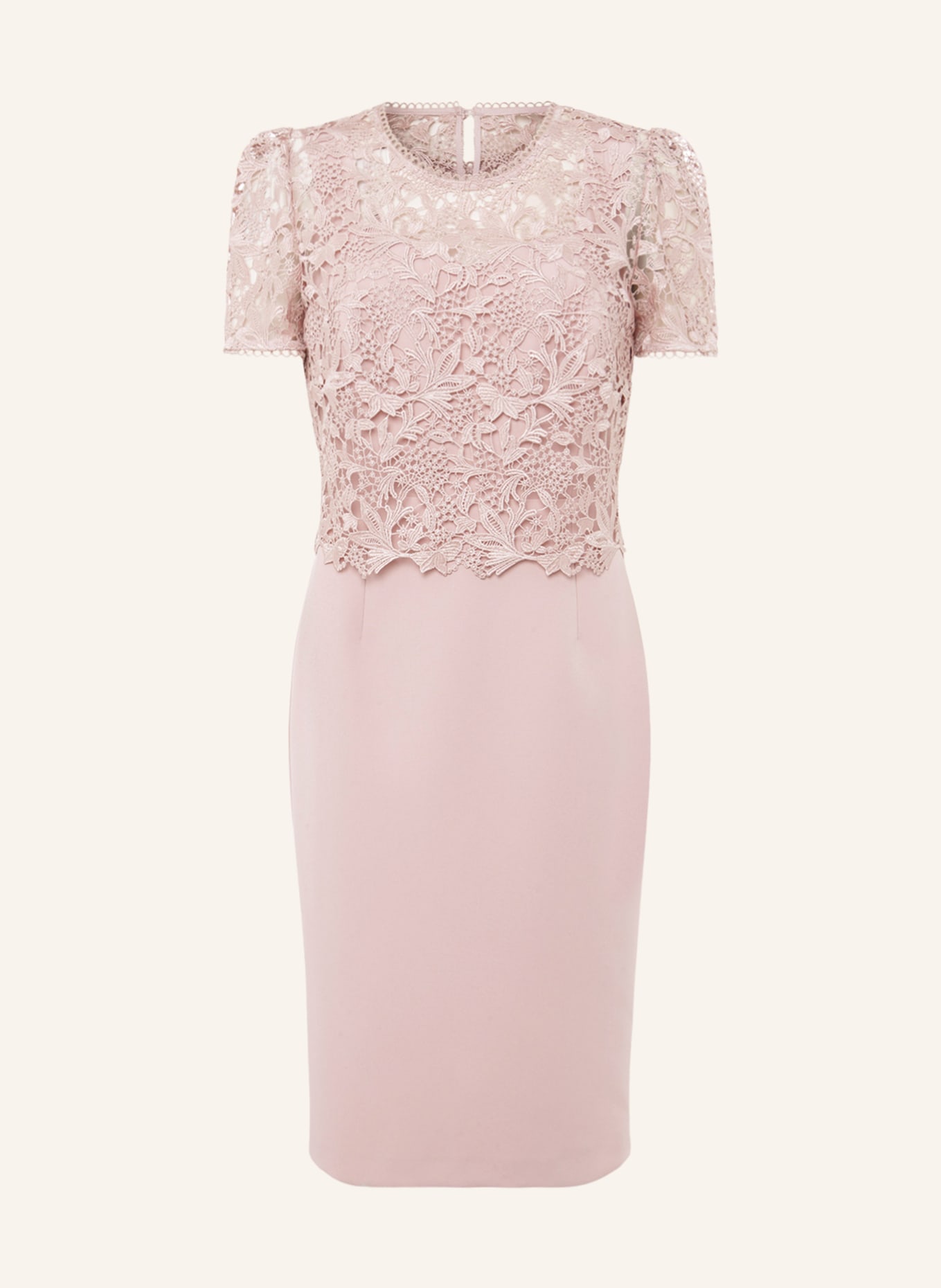Phase Eight Dress ISABELLA, Color: ROSE (Image 1)
