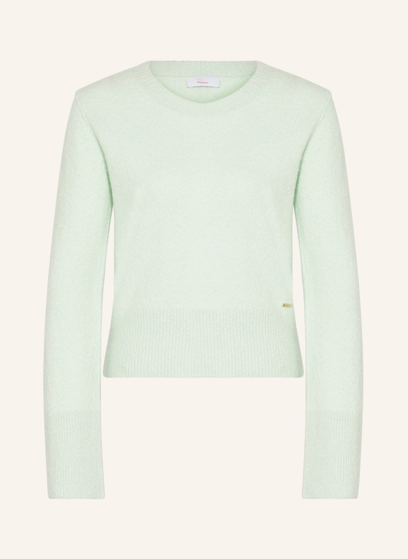 CINQUE Sweater CIFAMO, Color: LIGHT GREEN (Image 1)