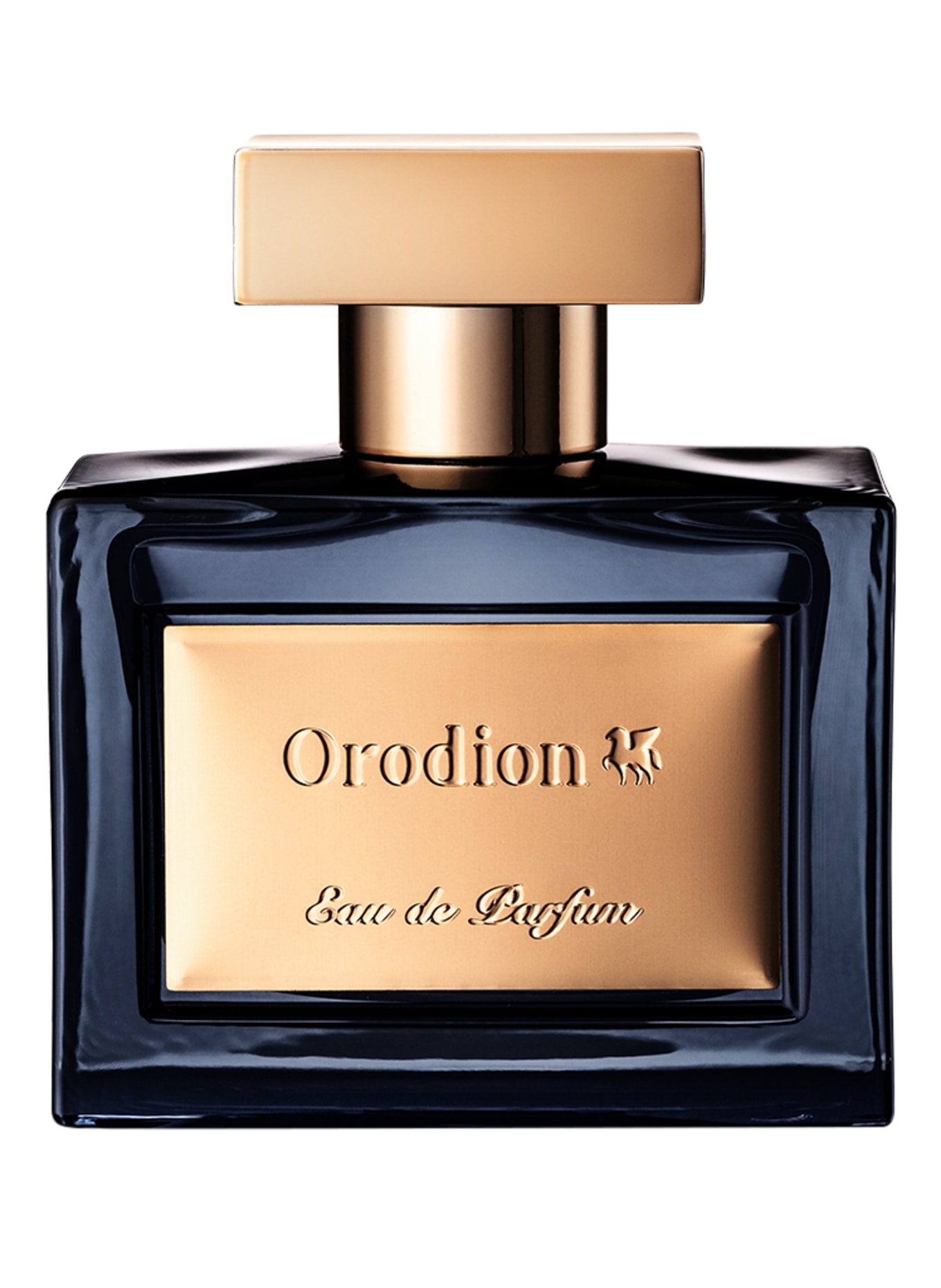 Orodion ORODION (Obrázek 1)