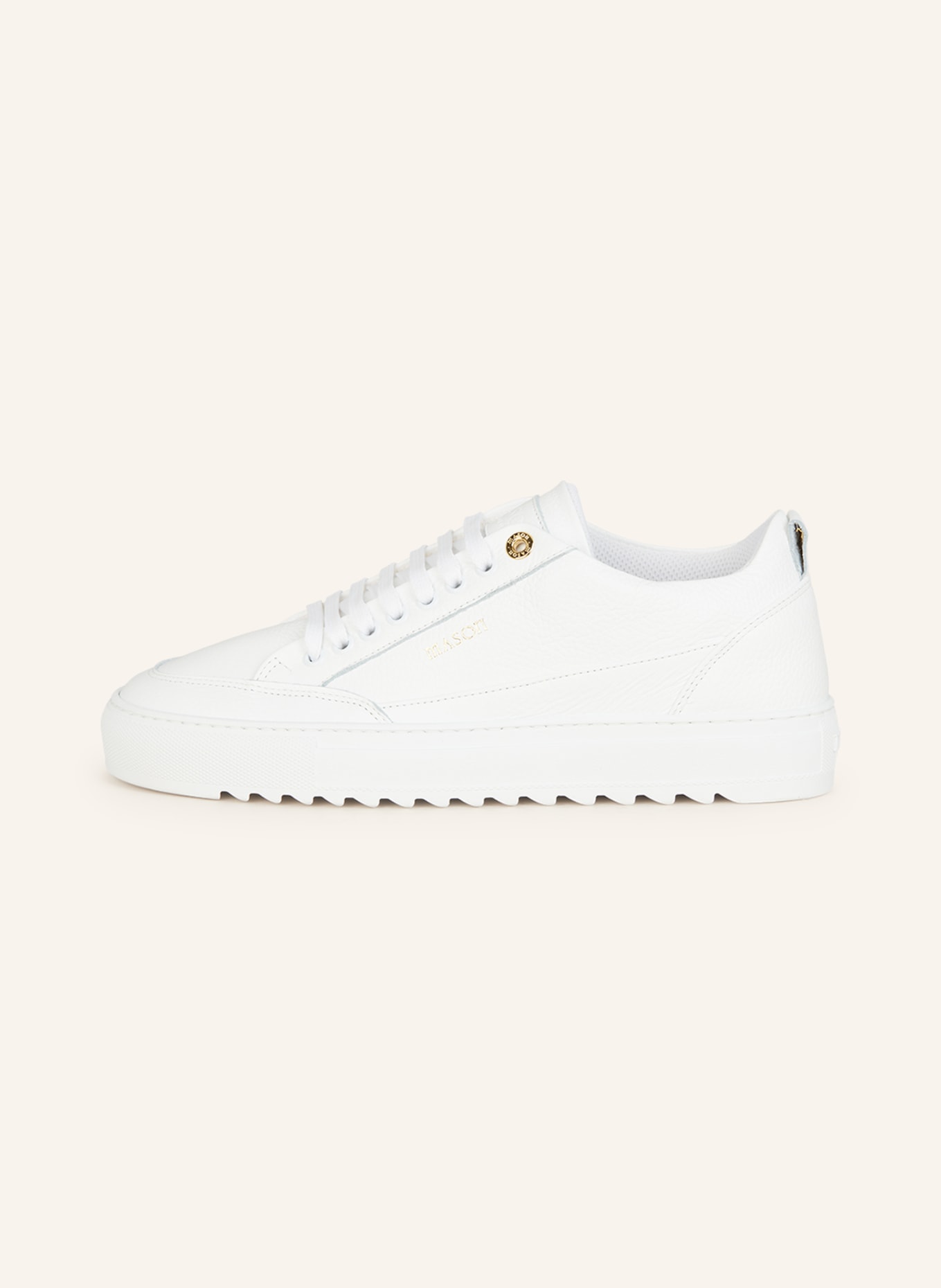 MASON GARMENTS Sneakers TIA, Color: WHITE (Image 4)