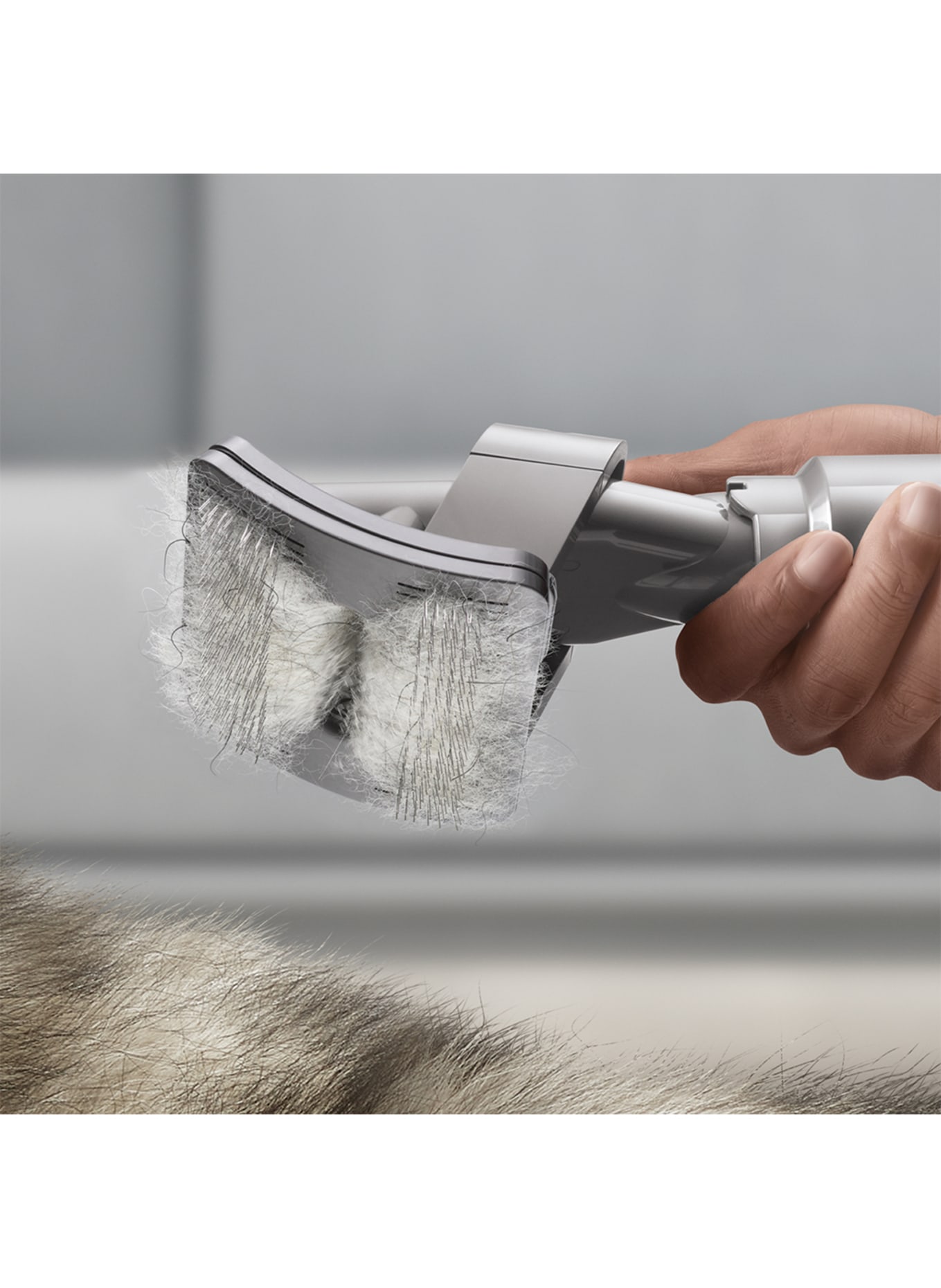 dyson HAUSTIERPFLEGESET