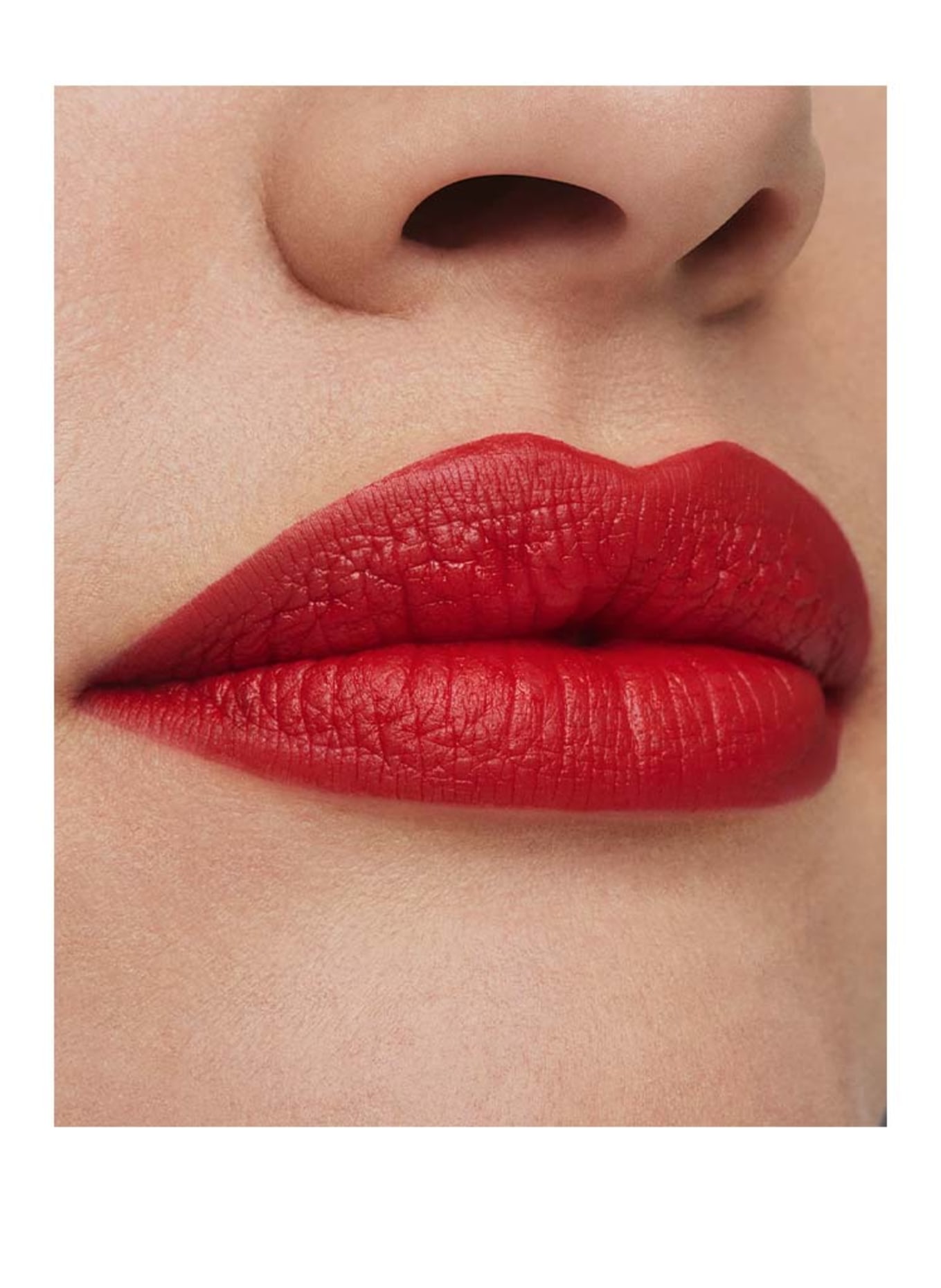 ESTÉE LAUDER PURE COLOR MATTE LIPSTICK: DEMAND