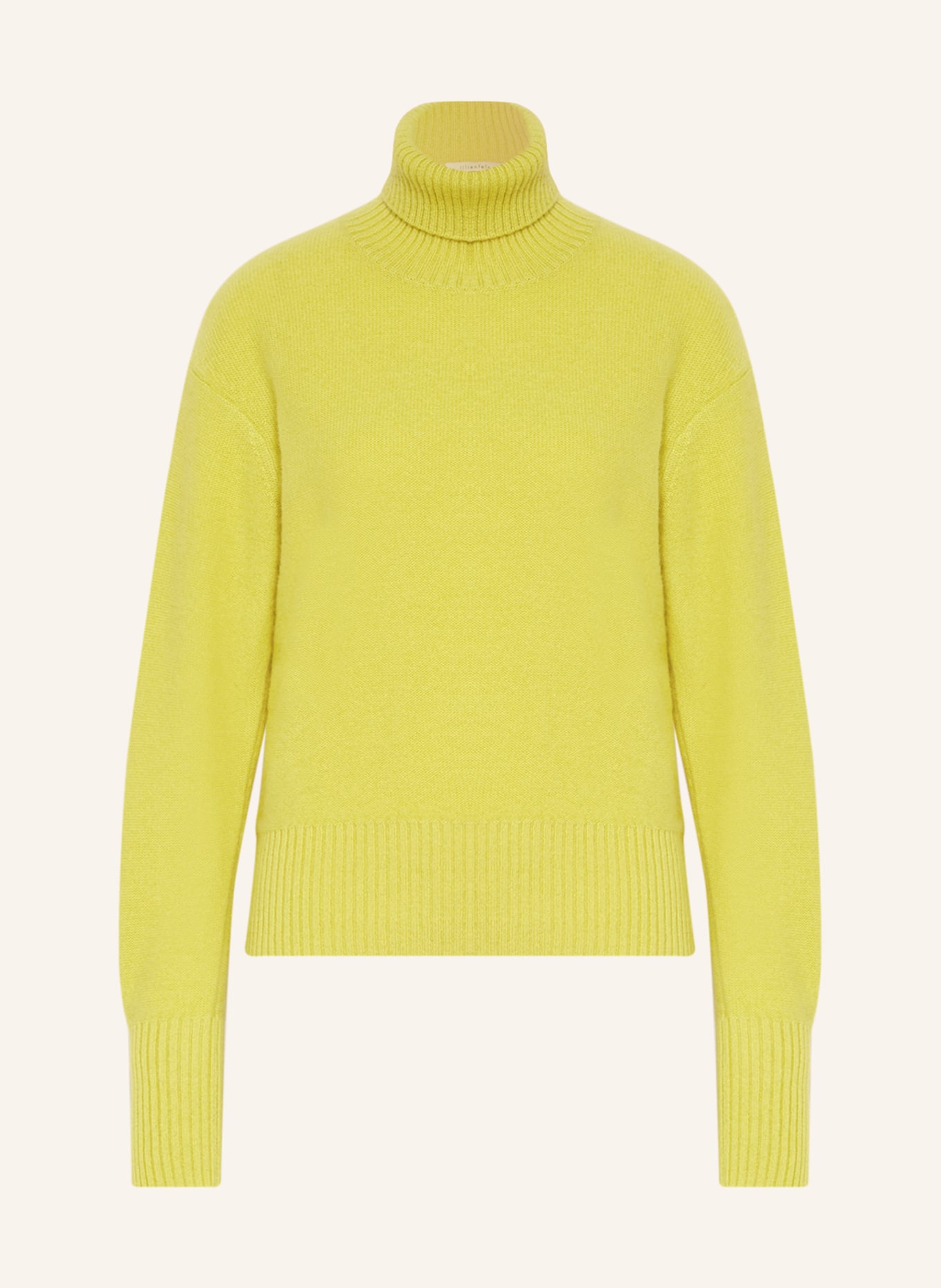 lilienfels Turtleneck sweater in cashmere, Color: LIGHT GREEN (Image 1)