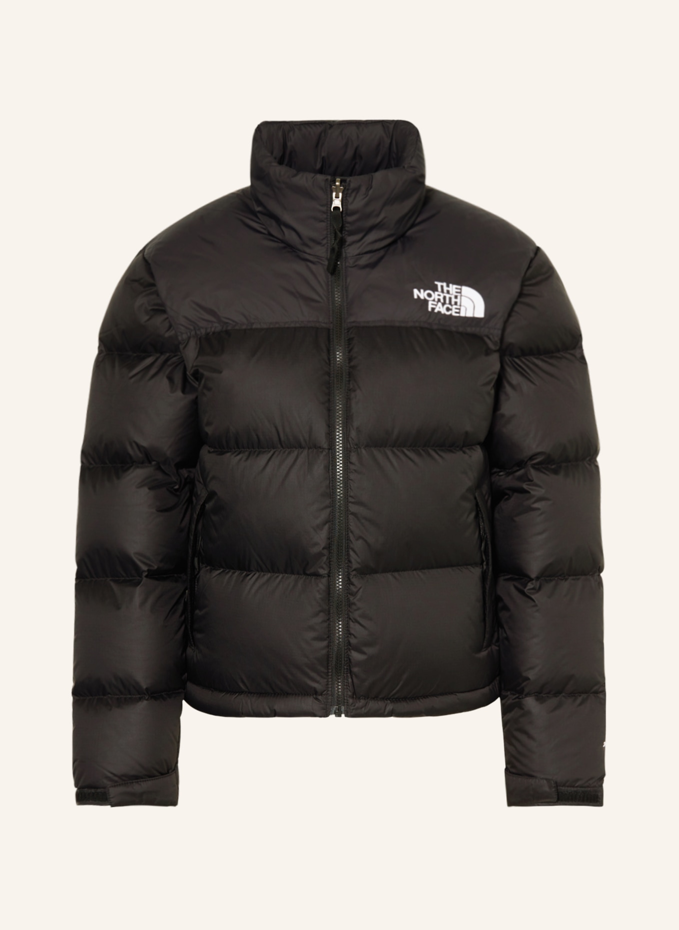 THE NORTH FACE Down jacket 1996, Color: BLACK (Image 1)