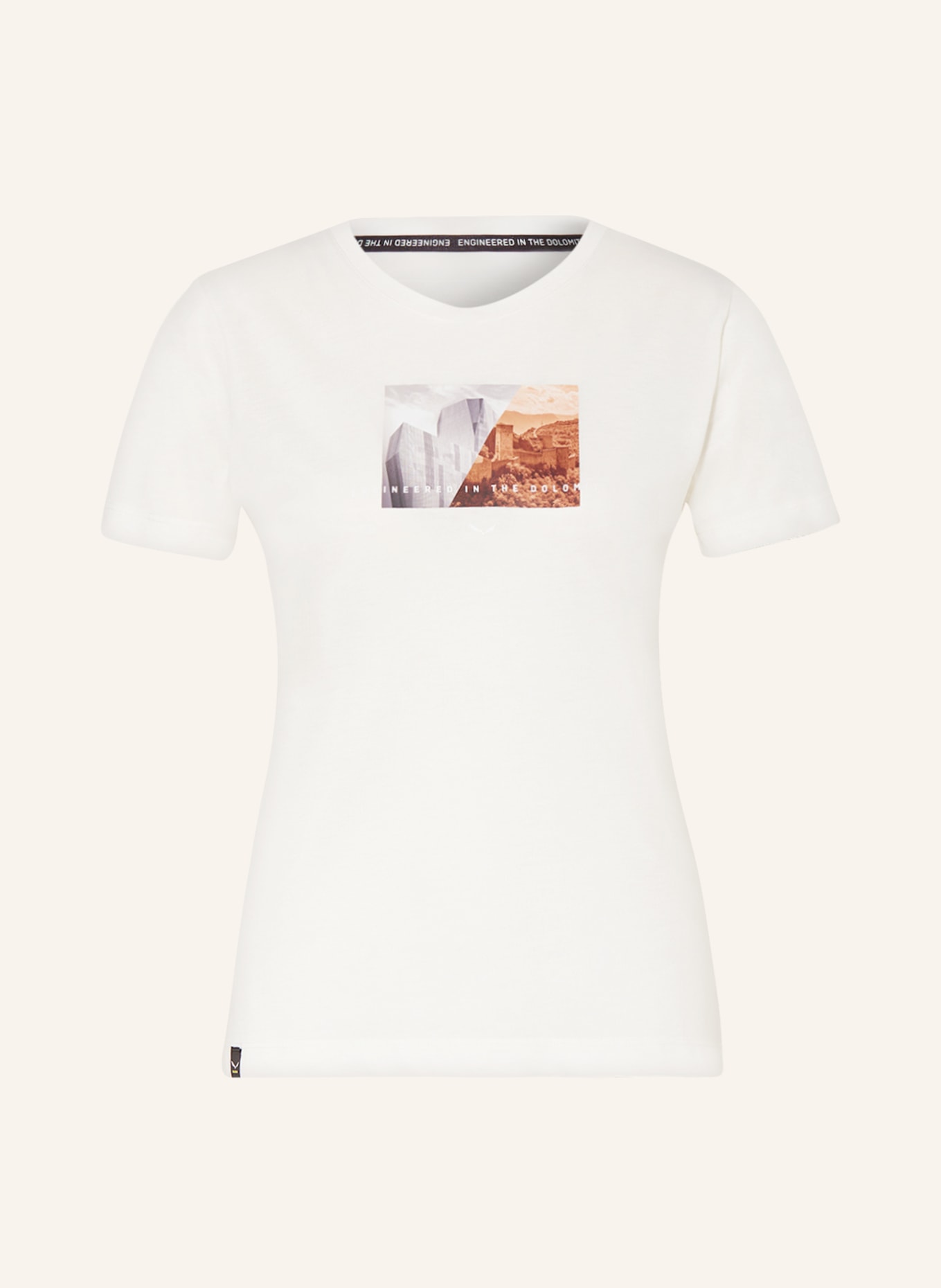 SALEWA T-shirt PURE DESIGN DRY, Color: WHITE/ GRAY/ BROWN (Image 1)