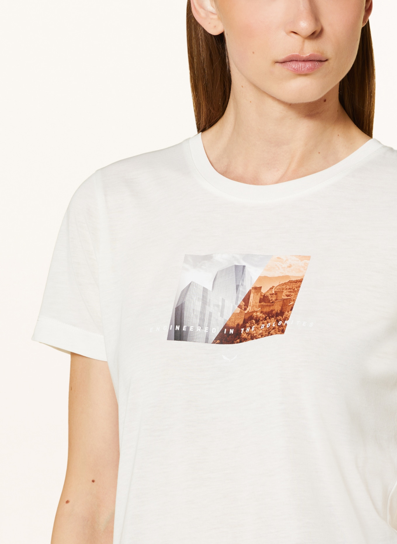 SALEWA T-shirt PURE DESIGN DRY, Color: WHITE/ GRAY/ BROWN (Image 4)