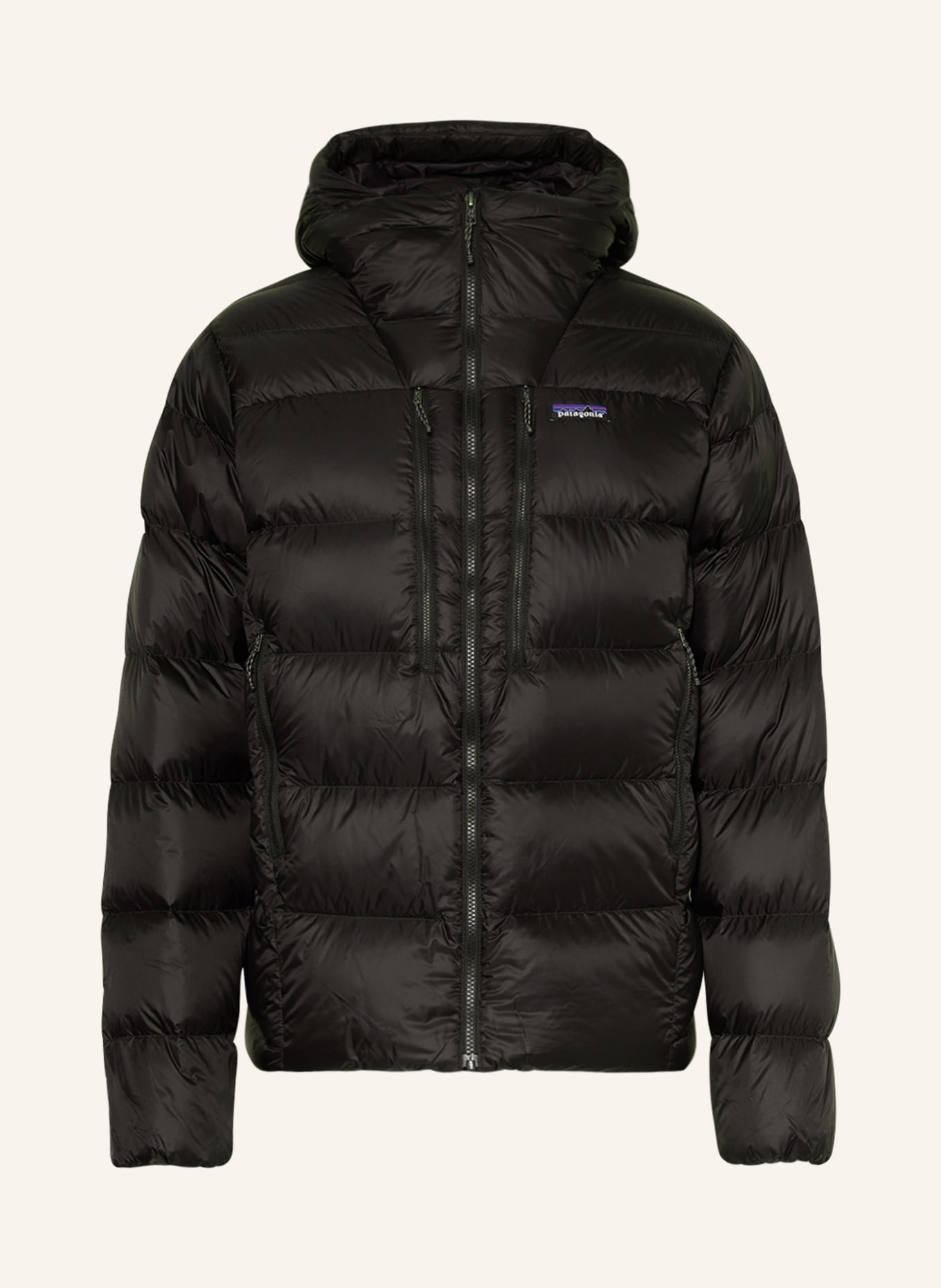 patagonia Down jacket FITZ ROY, Color: BLACK (Image 1)