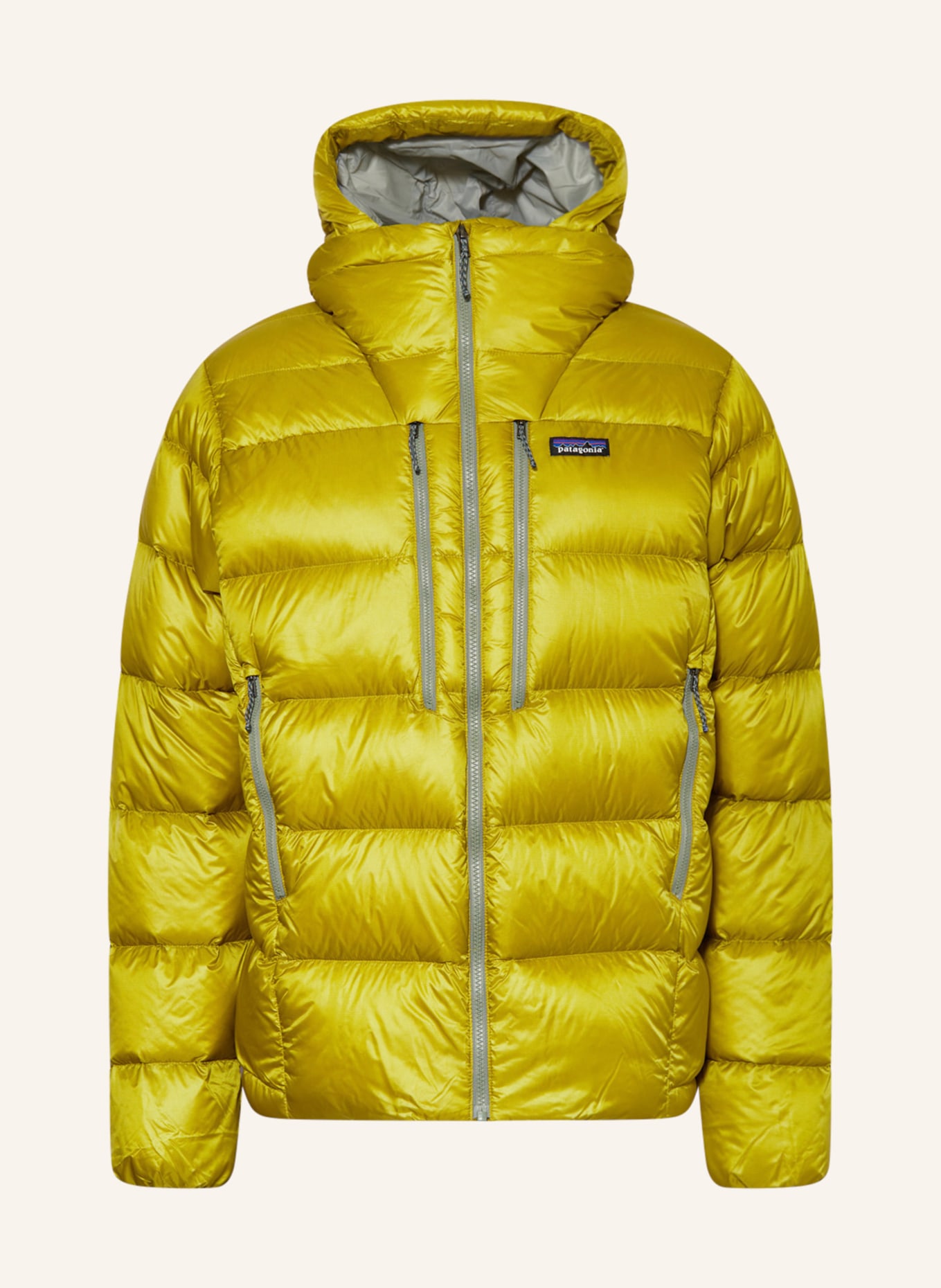 patagonia Down jacket FITZ ROY, Color: LIGHT GREEN (Image 1)
