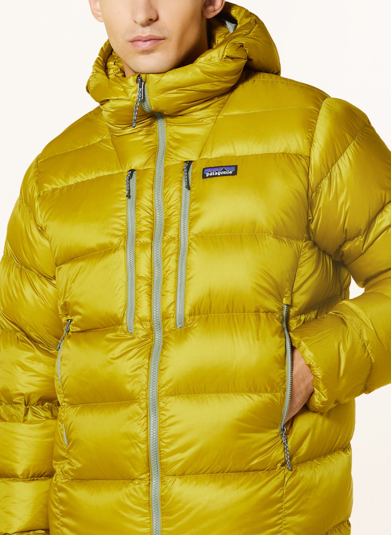 patagonia Down jacket FITZ ROY, Color: LIGHT GREEN (Image 5)