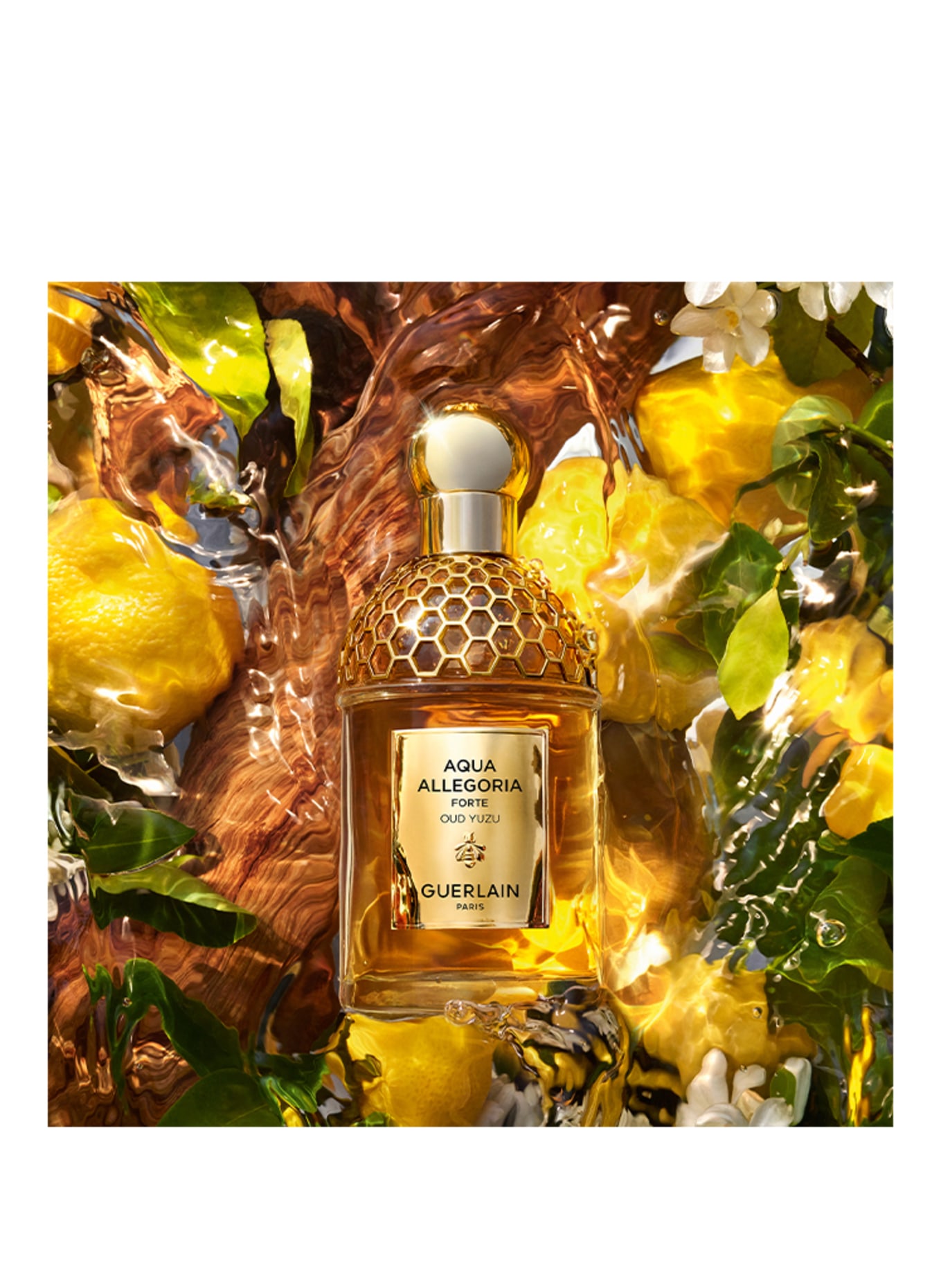 GUERLAIN AQUA ALLEGORIA FORTE OUD YUZU