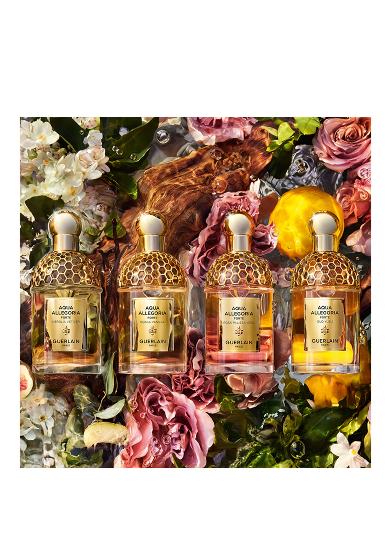 GUERLAIN AQUA ALLEGORIA FORTE OUD YUZU