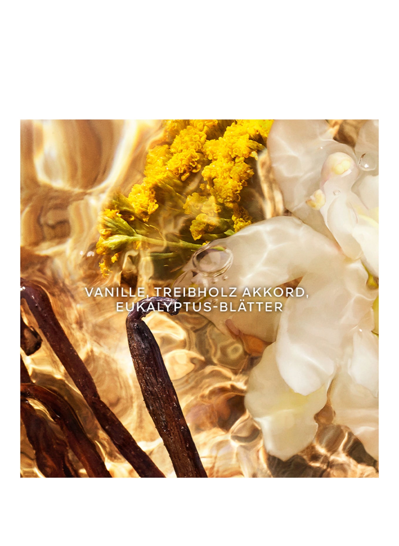 GUERLAIN AQUA ALLEGORIA FORTE BOSCA VANILLA NAVULLING