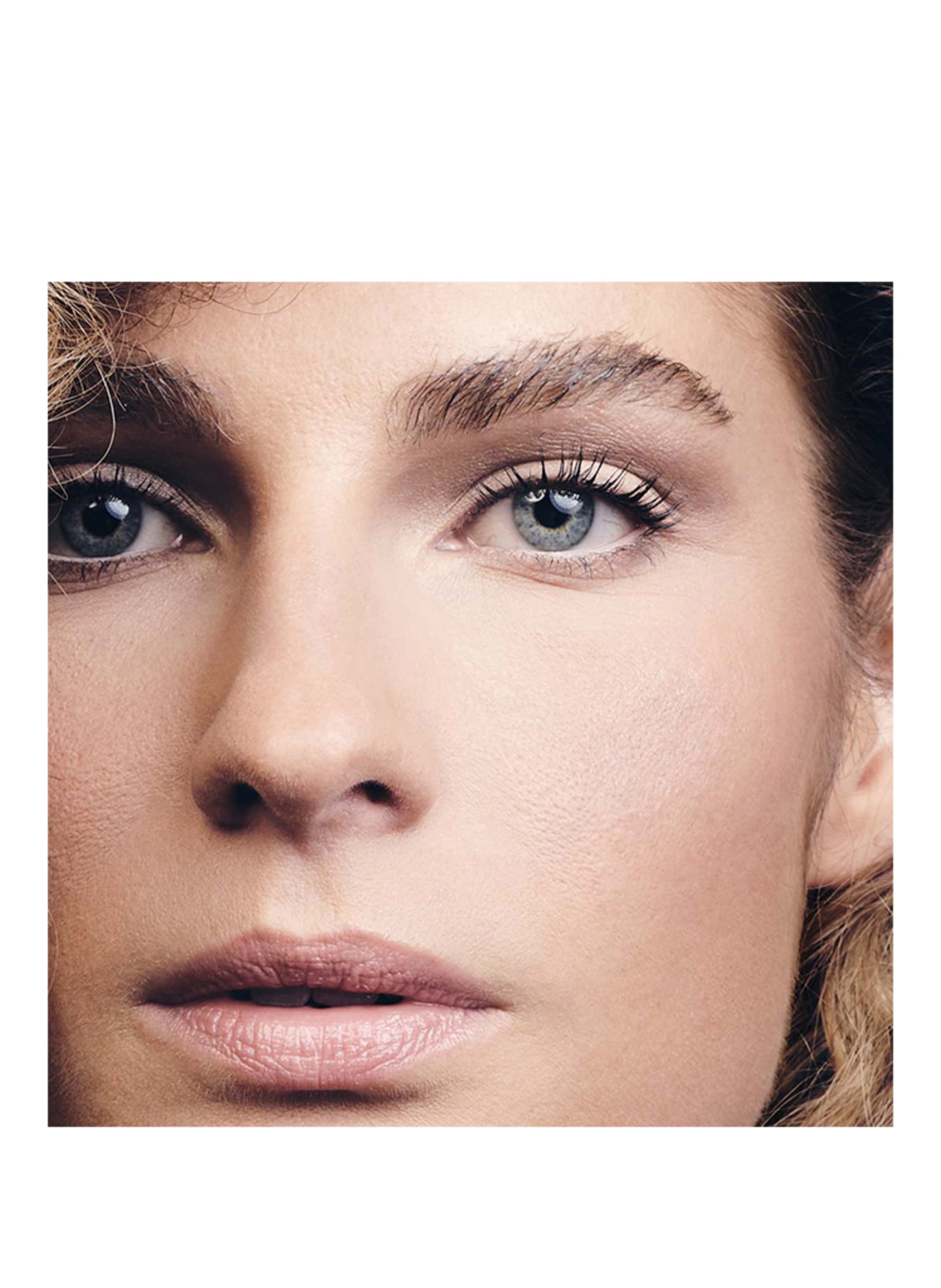 THE BROWERY THE SHAPER: BRUNETTE