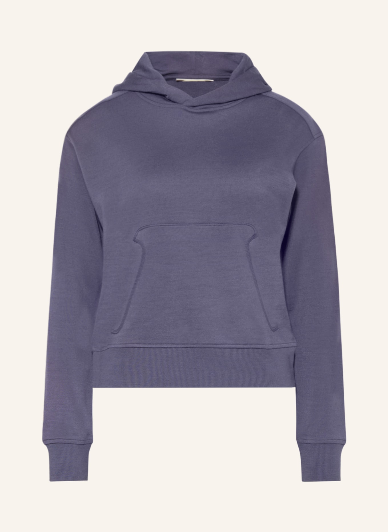 icebreaker Undershirts MERINO CUSH II with merino wool in dark gray