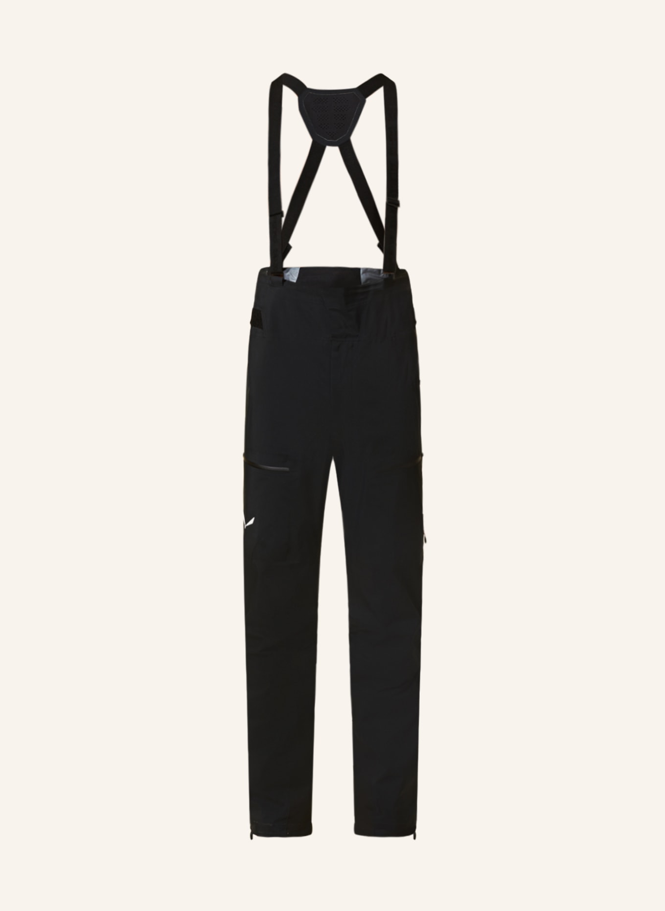 SALEWA Hardshell ski pants ORTLES GORE-TEX® PRO, Color: BLACK (Image 1)