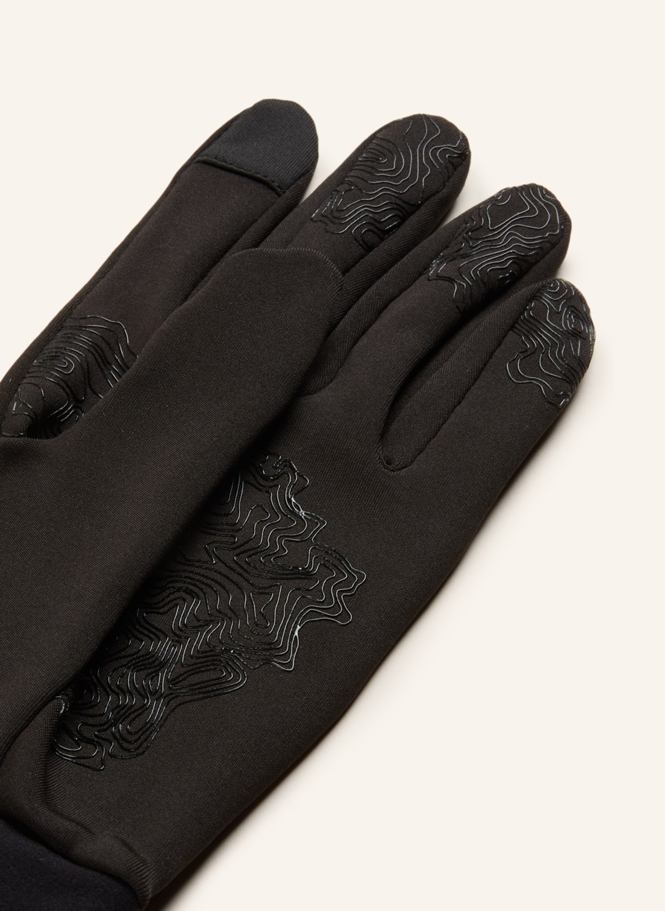 reusch Ski gloves ASHTON TOUCH-TEC™, Color: BLACK (Image 2)