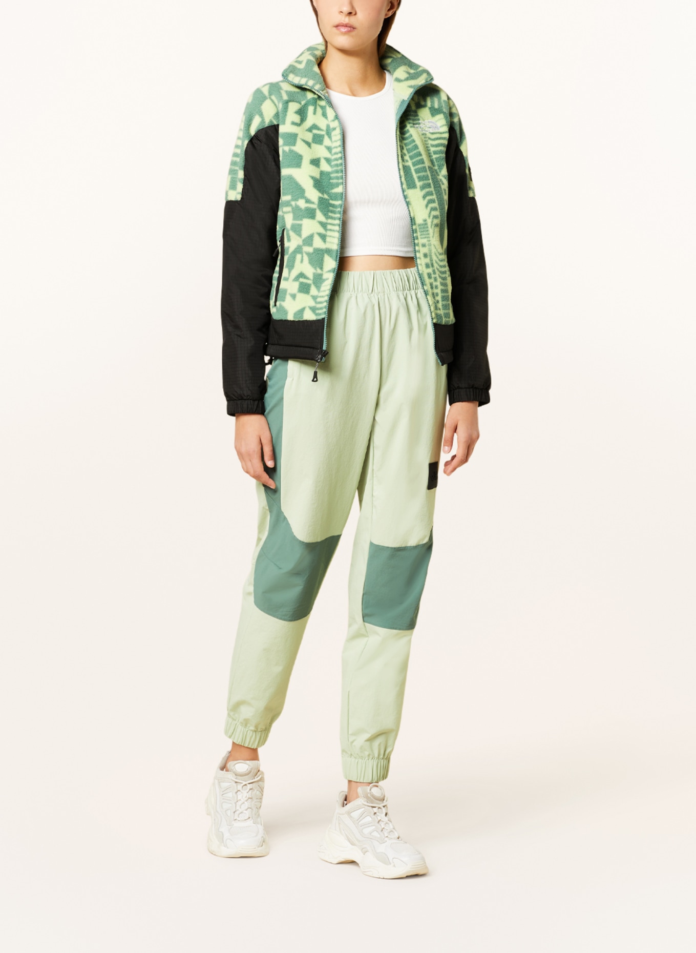 THE NORTH FACE Fleece jacket FLEESKI Y2K in a material mix, Color: BLACK/ LIGHT GREEN/ GREEN (Image 2)