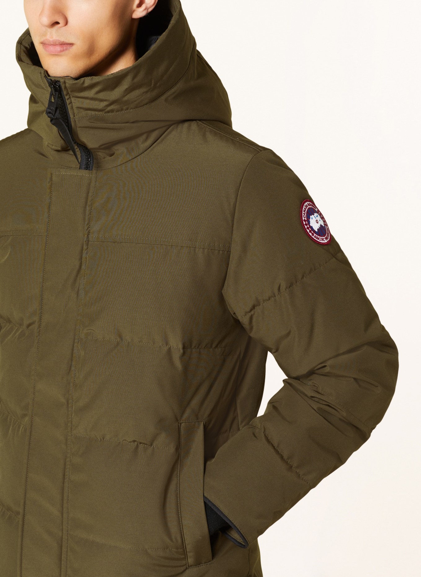 CANADA GOOSE Daunenjacke MACMILLAN: OLIV