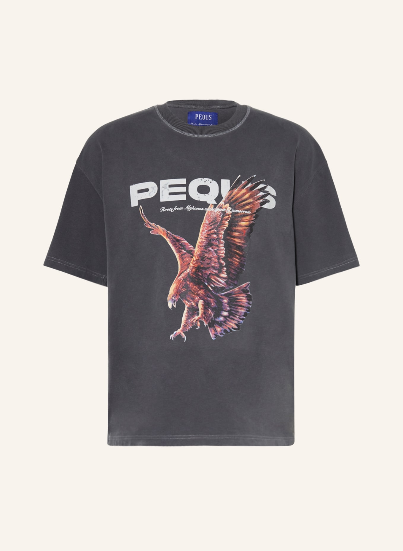 PEQUS T-shirt, Kolor: SZARY/ JASNOCZARY/ CZARNY (Obrazek 1)