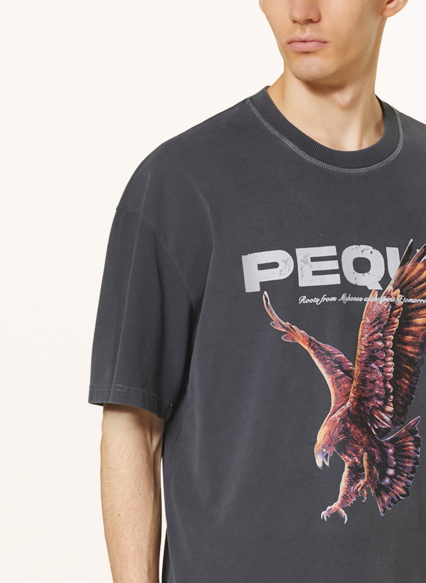 PEQUS T-shirt, Color: GRAY/ LIGHT GRAY/ BLACK (Image 4)