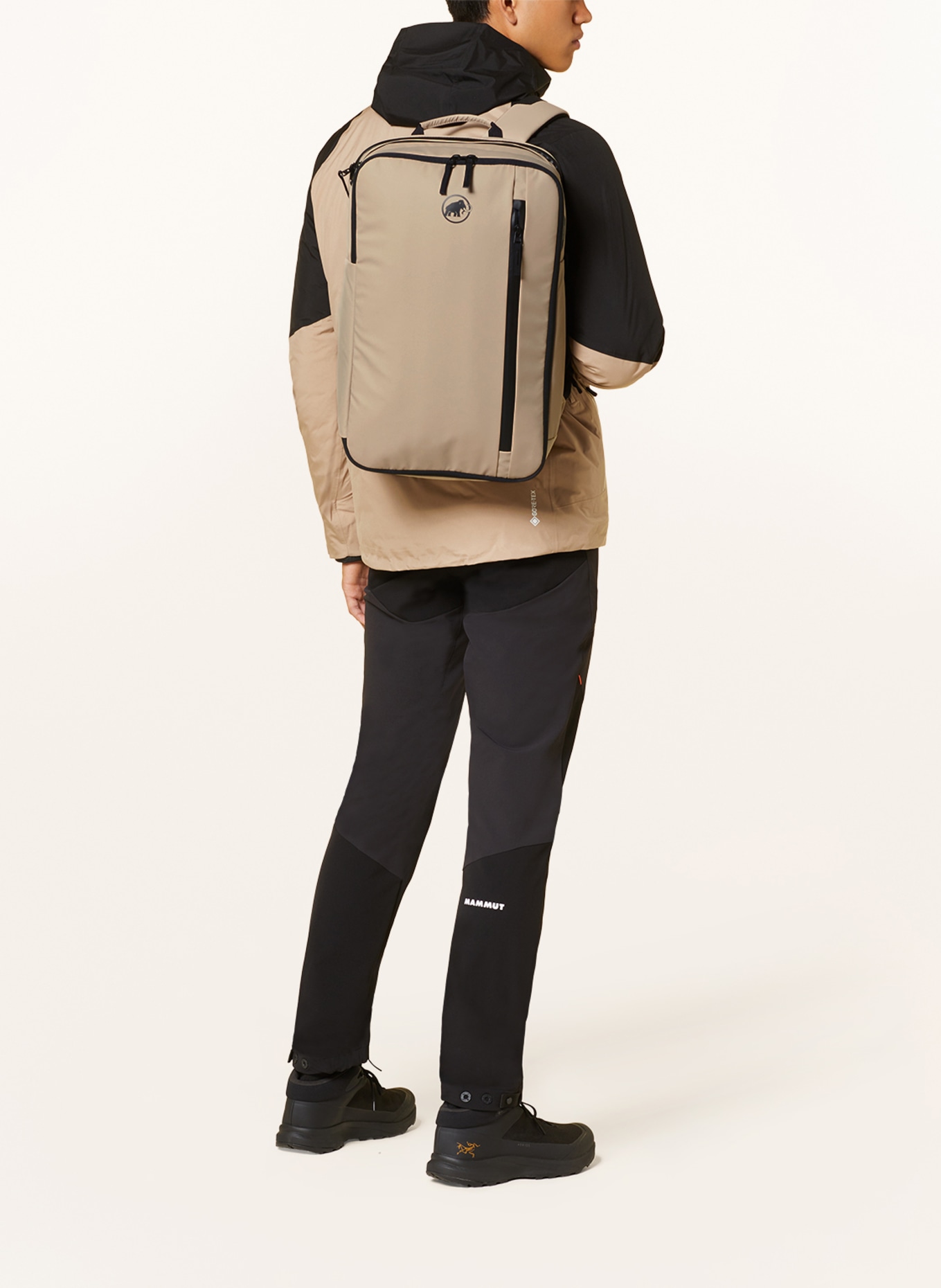 MAMMUT Backpack SEON TRANSPORTER 25 l with laptop compartment, Color: BEIGE (Image 4)