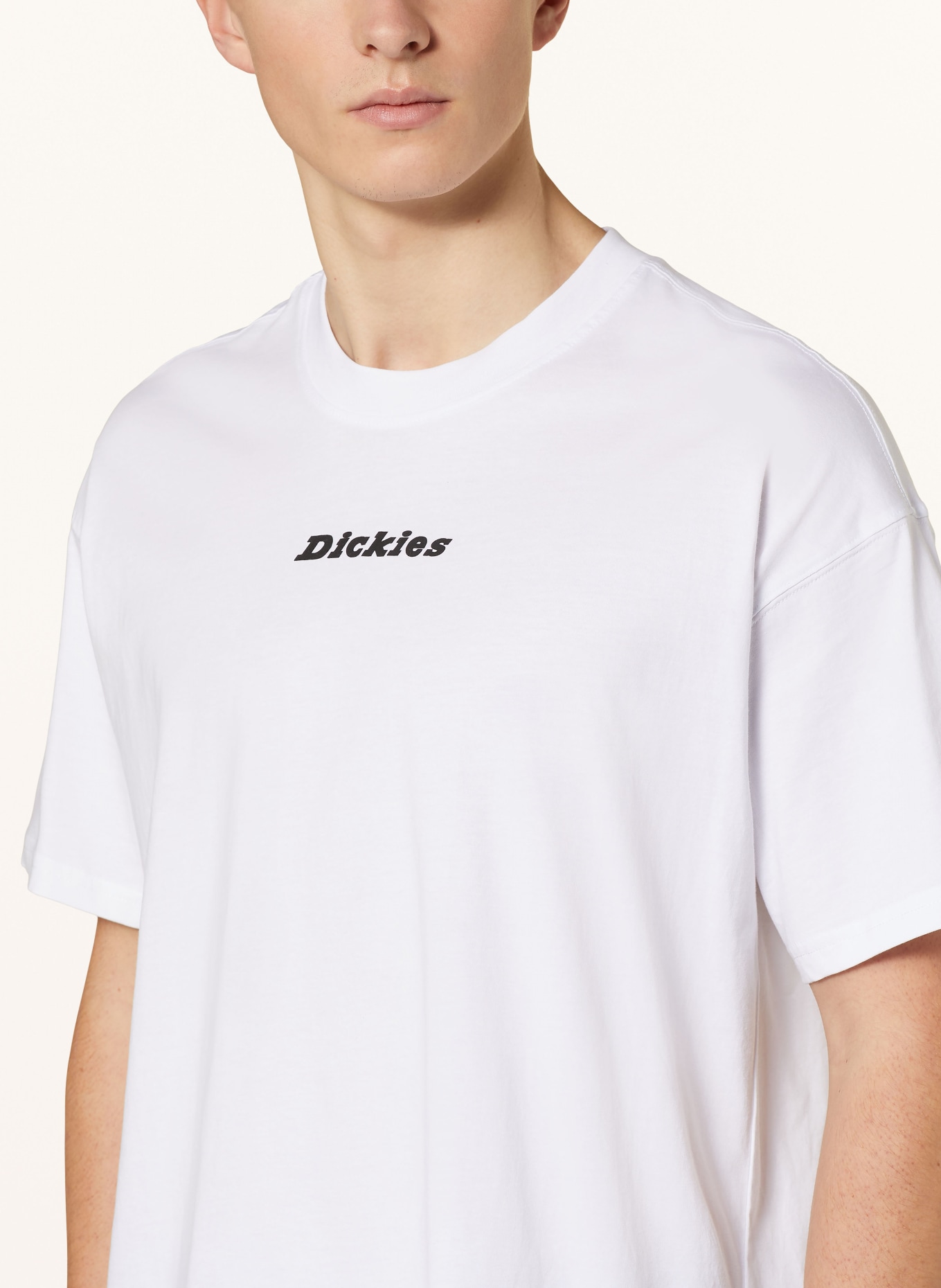 Dickies T-shirt, Color: WHITE/ BLACK (Image 4)