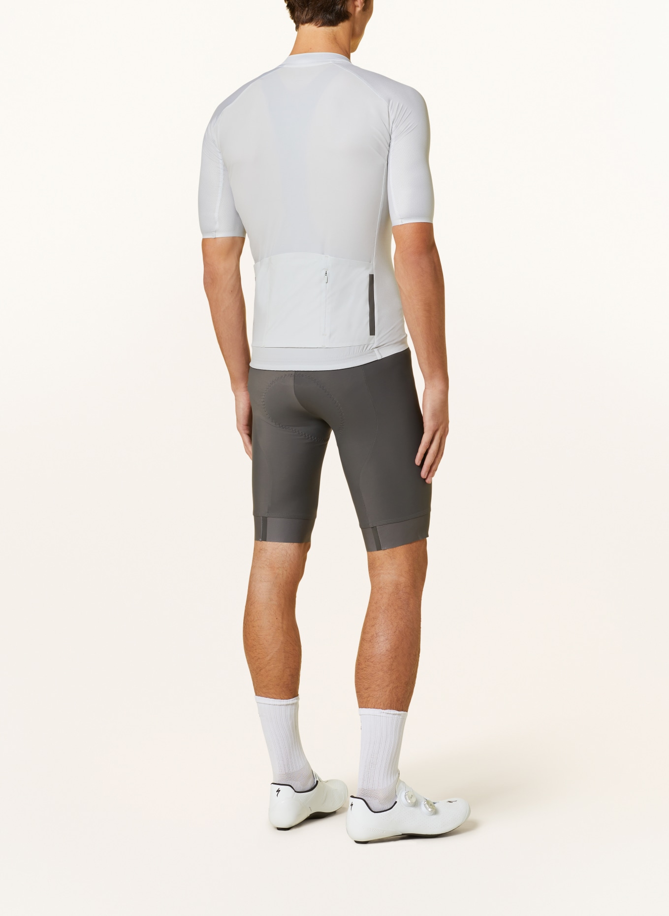 SPECIALIZED Cycling shorts SL BIB with straps and padded insert, Color: GRAY/ BLACK (Image 3)