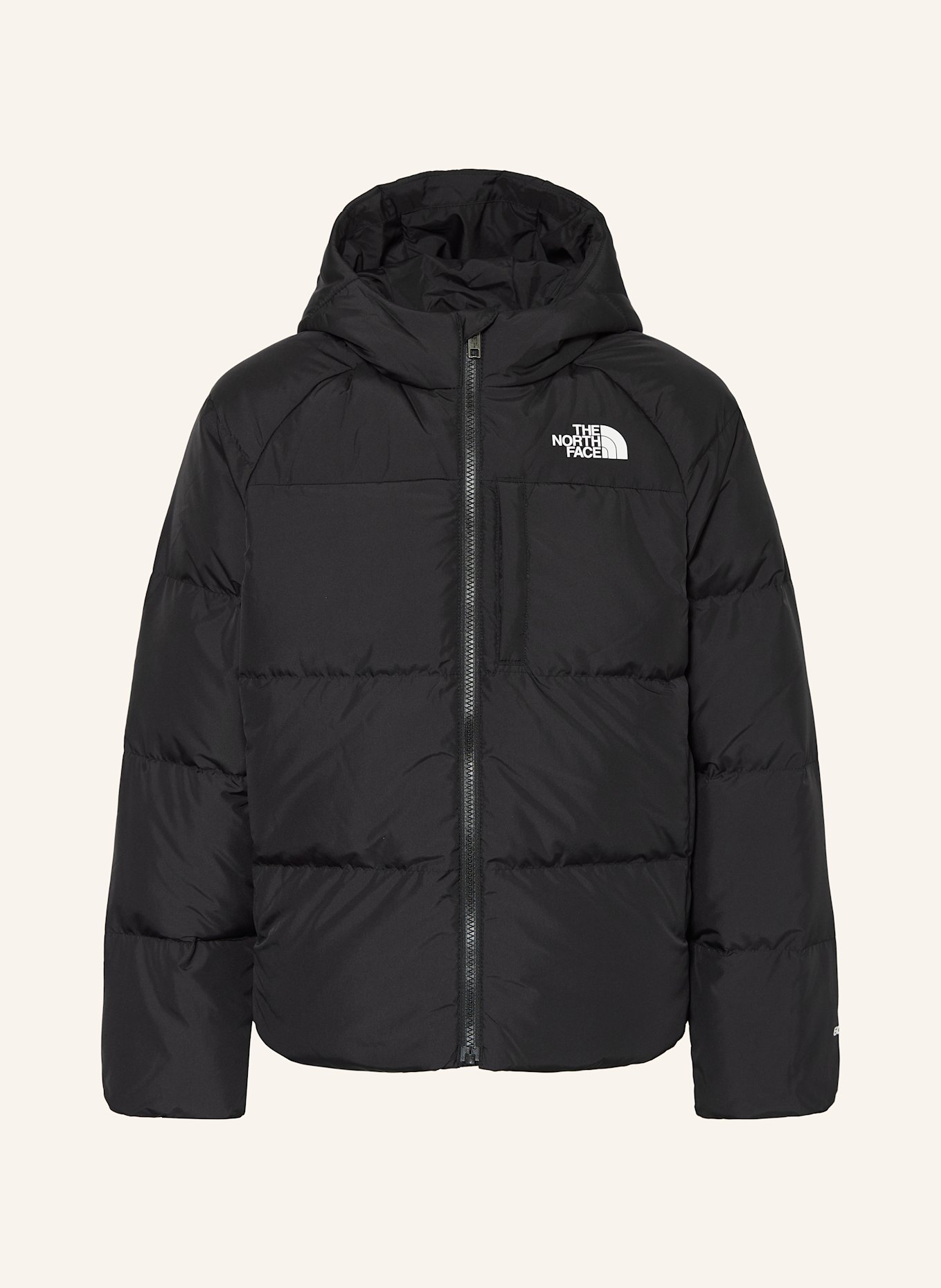THE NORTH FACE Daunenjacke: SCHWARZ