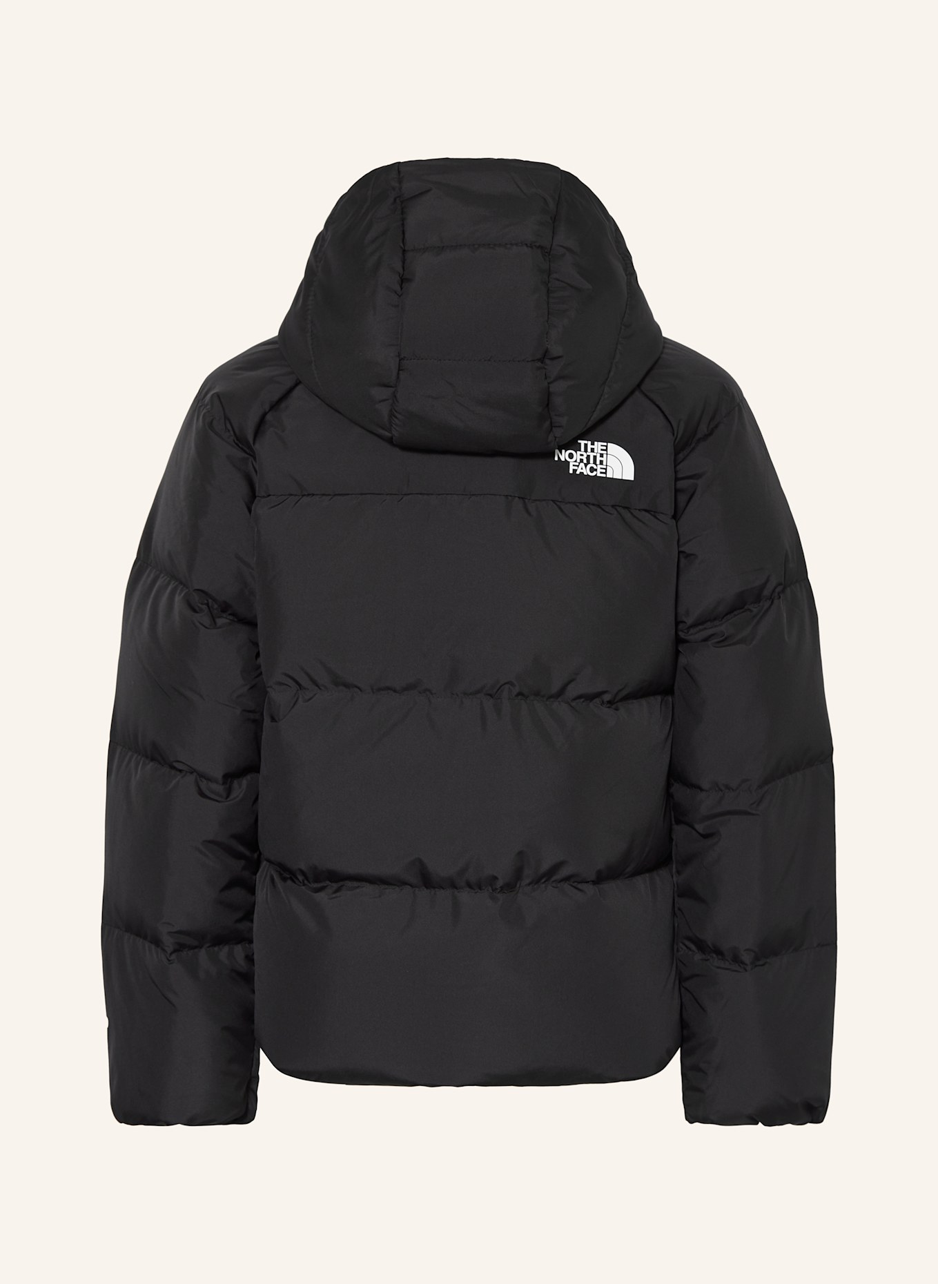 THE NORTH FACE Daunenjacke: SCHWARZ