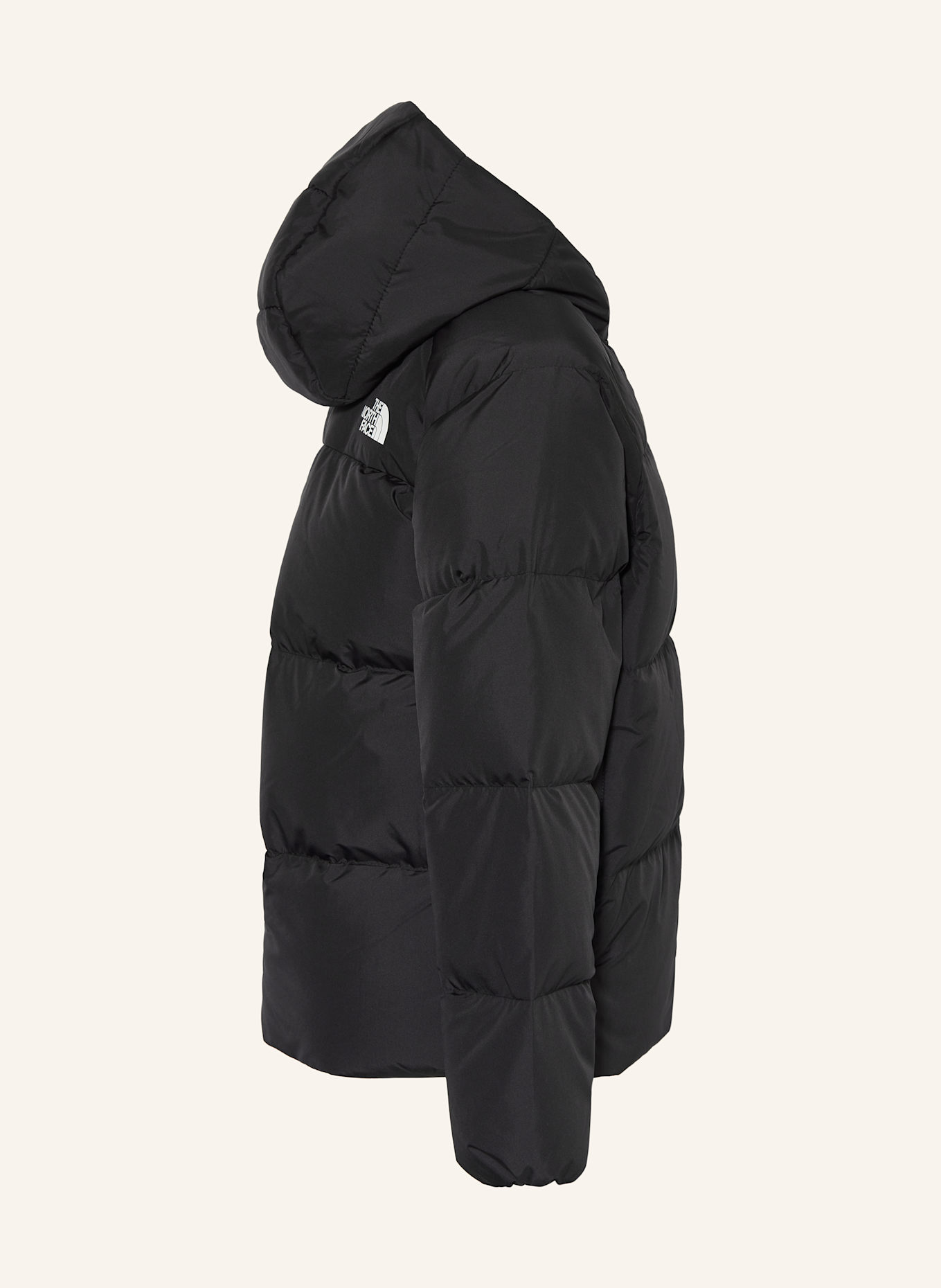 THE NORTH FACE Daunenjacke: SCHWARZ